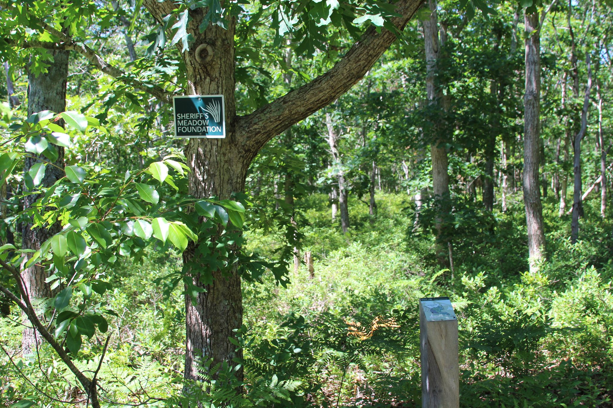 sign at VH-Edgartown Road