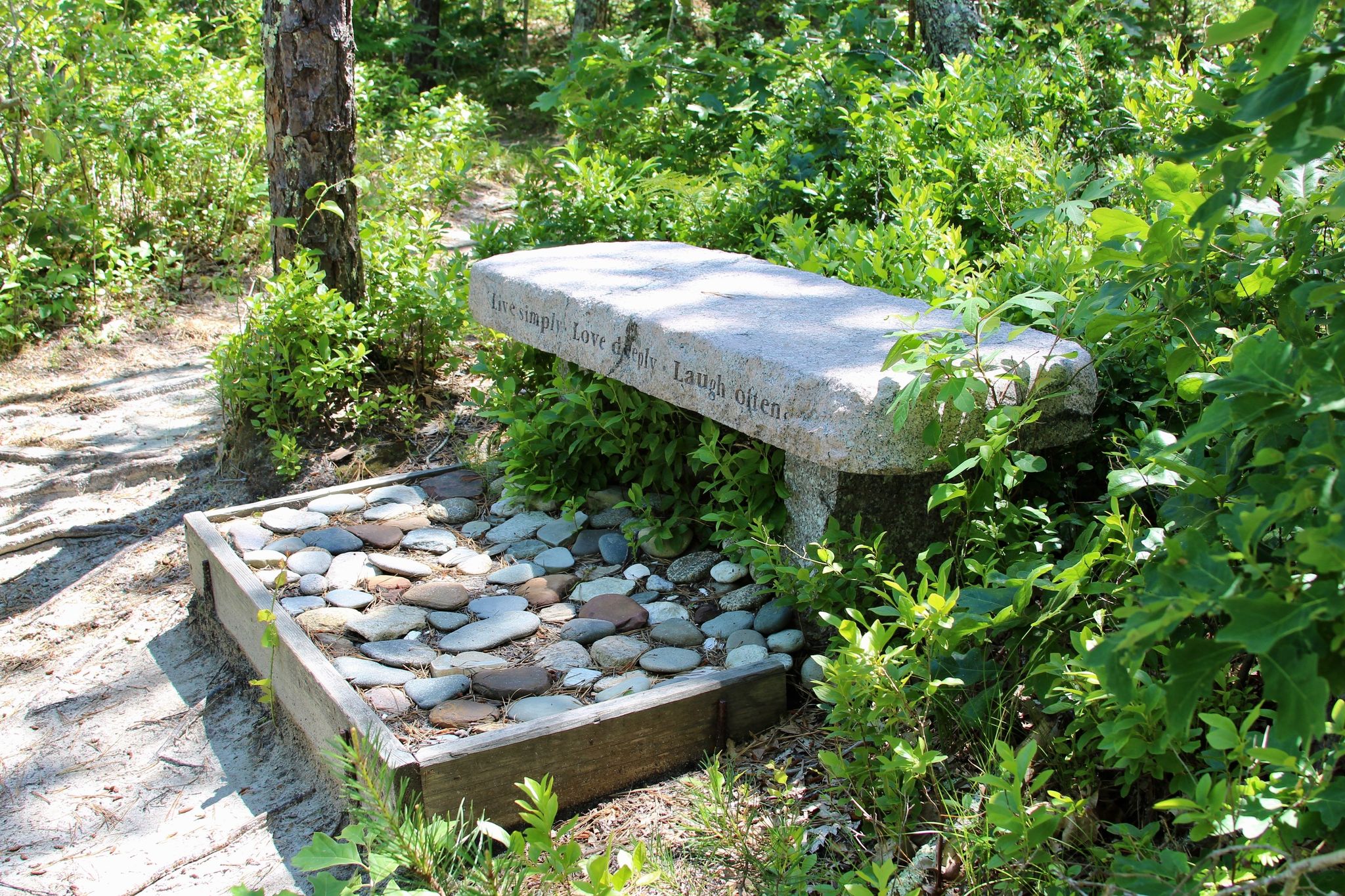 bench near yellow trail spur