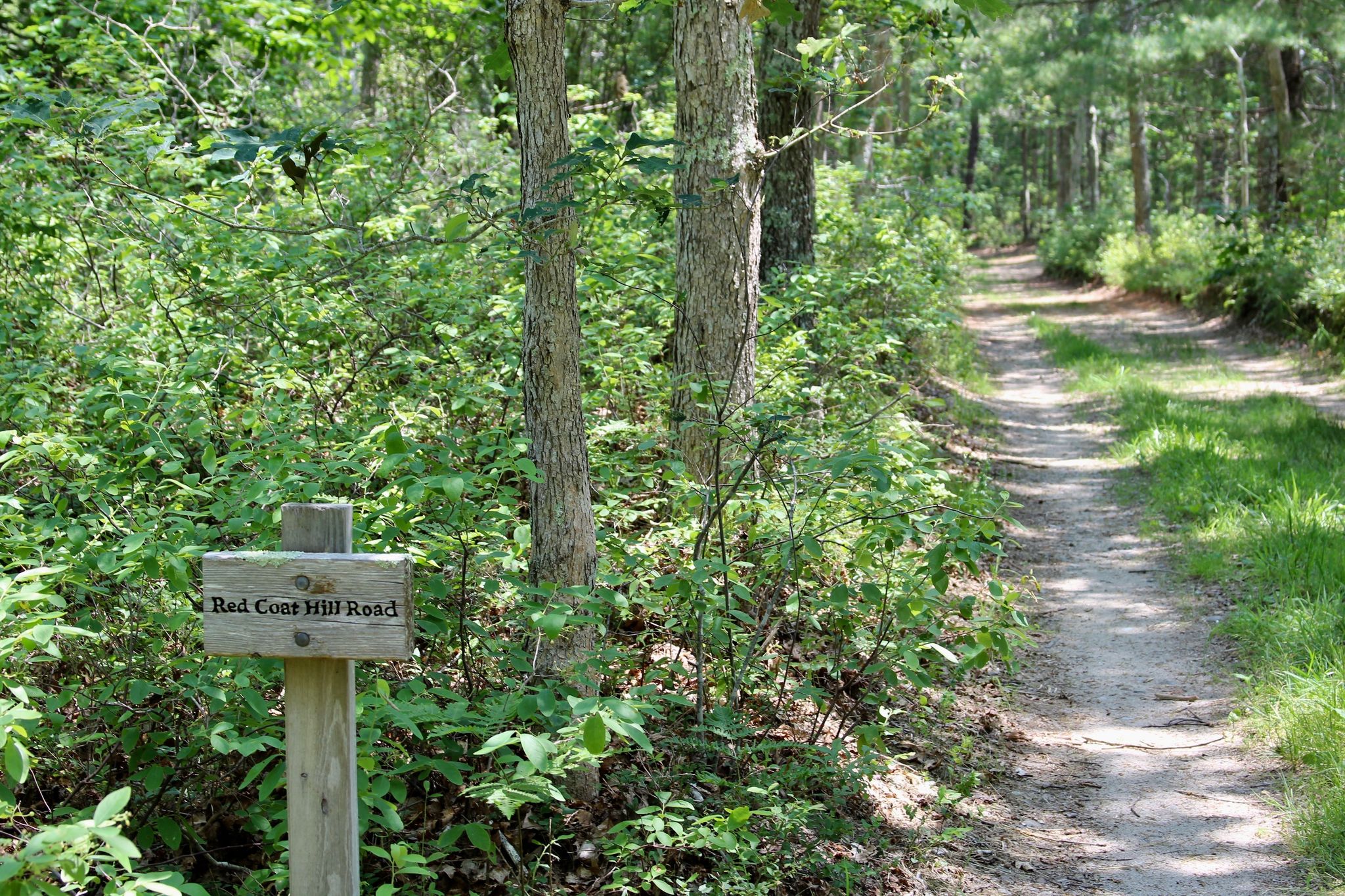 sign at road