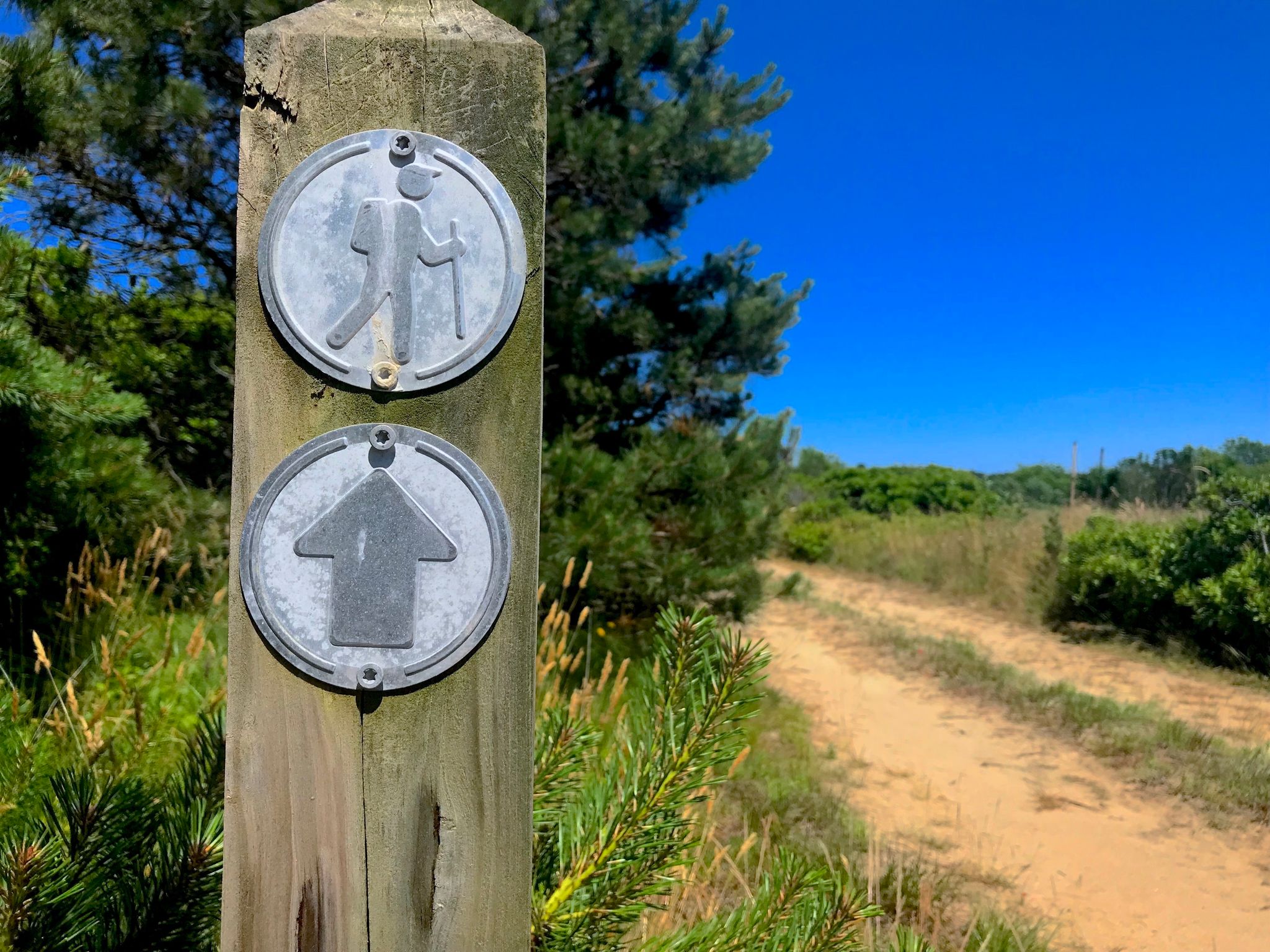 Trail sign next to the dirt road trail.