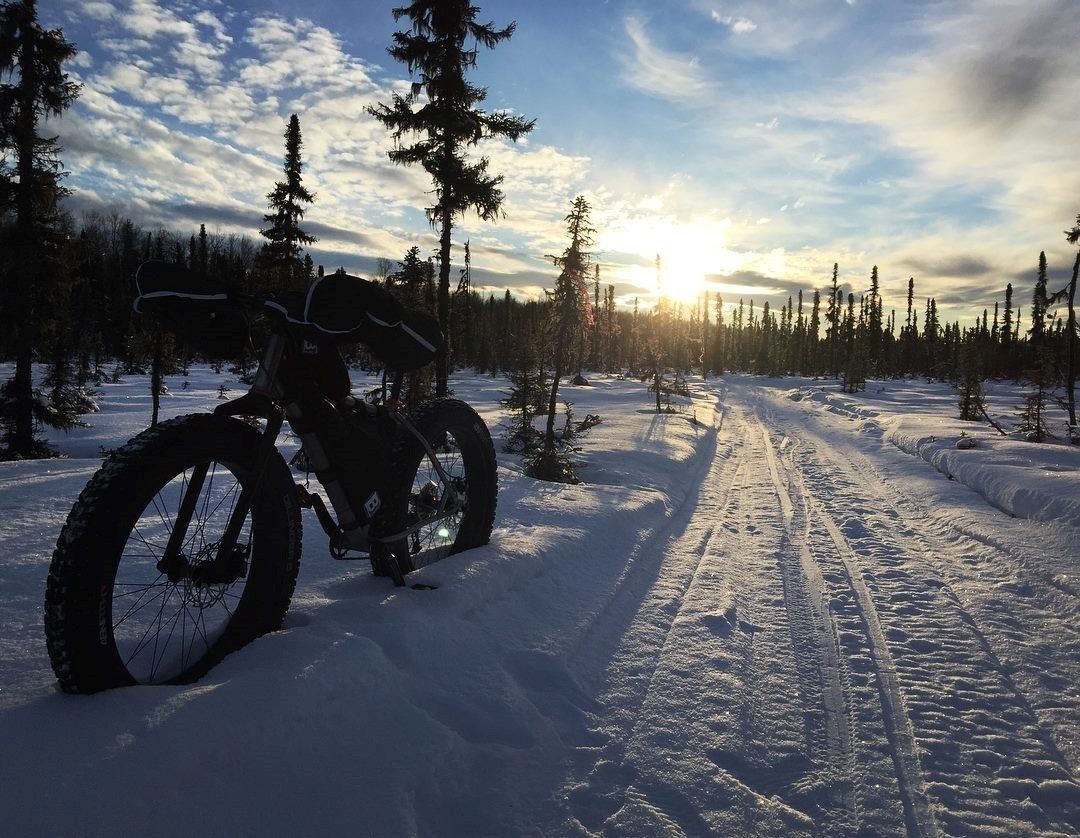 Winter on Shirley Lake Trail