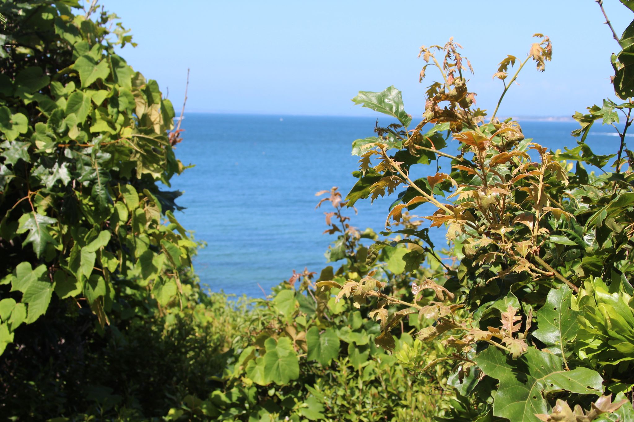 view of Vineyard Sound