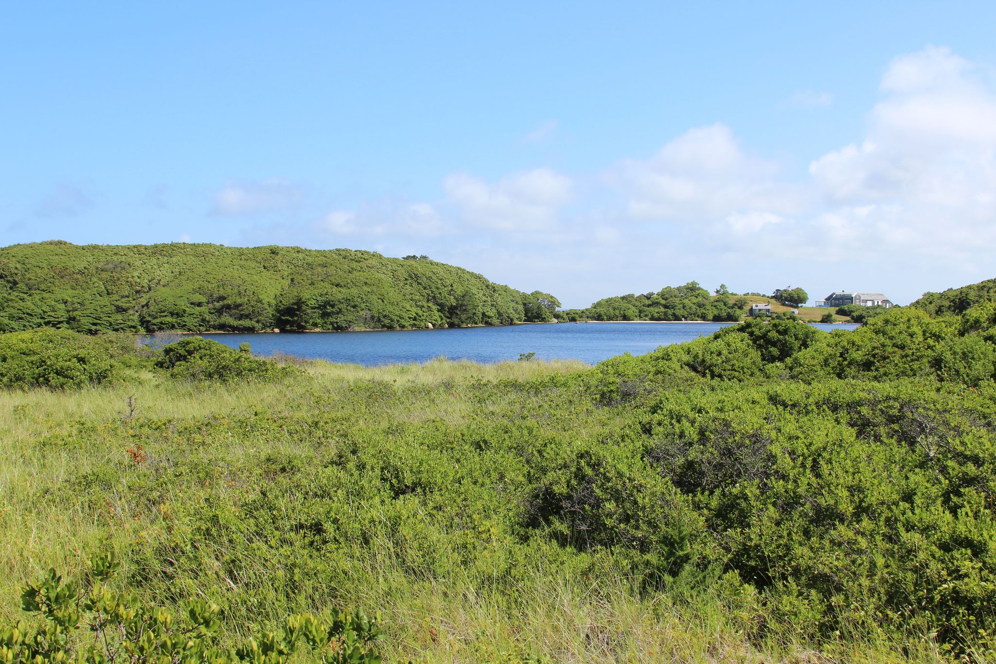 Cedar Tree Neck Pond