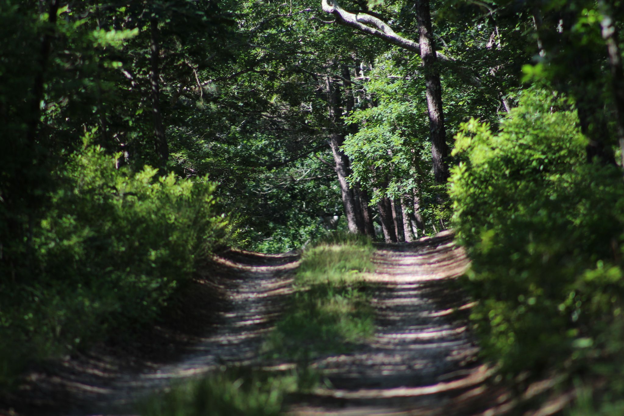 dirt road