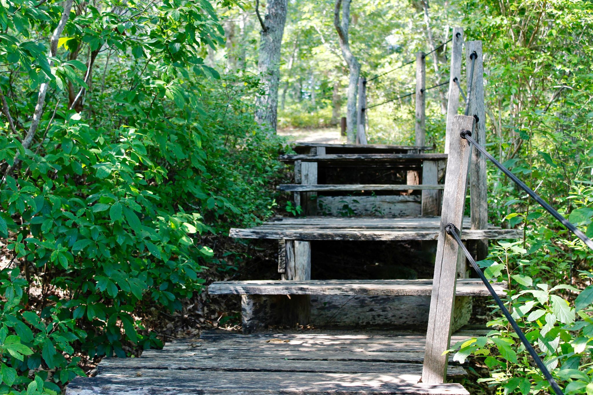 stairs up from Pond