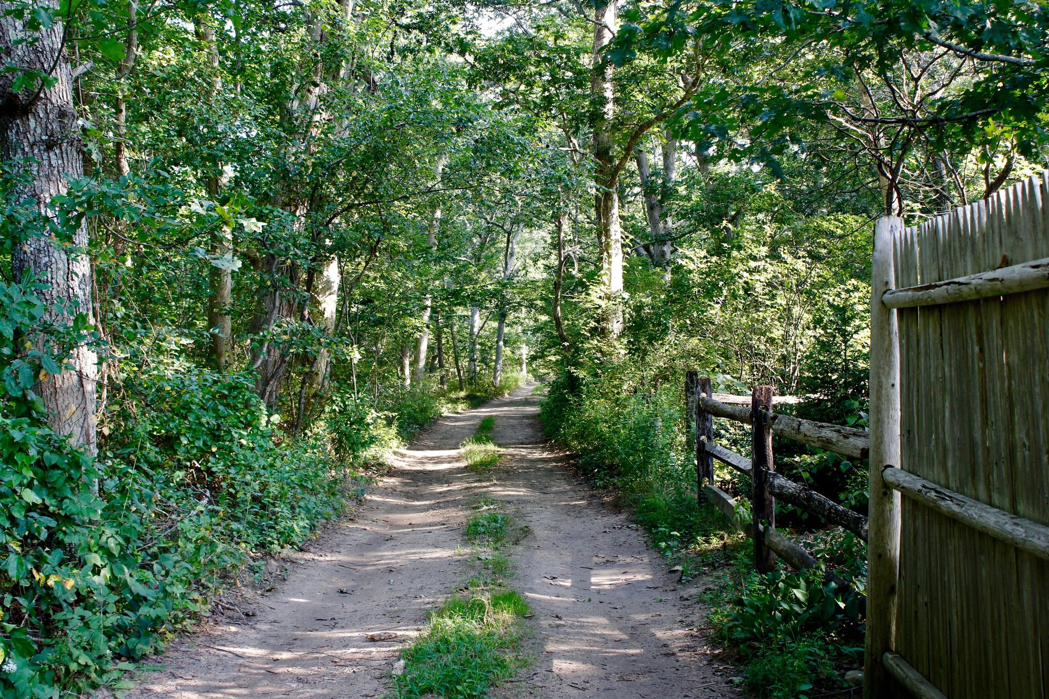 dirt road