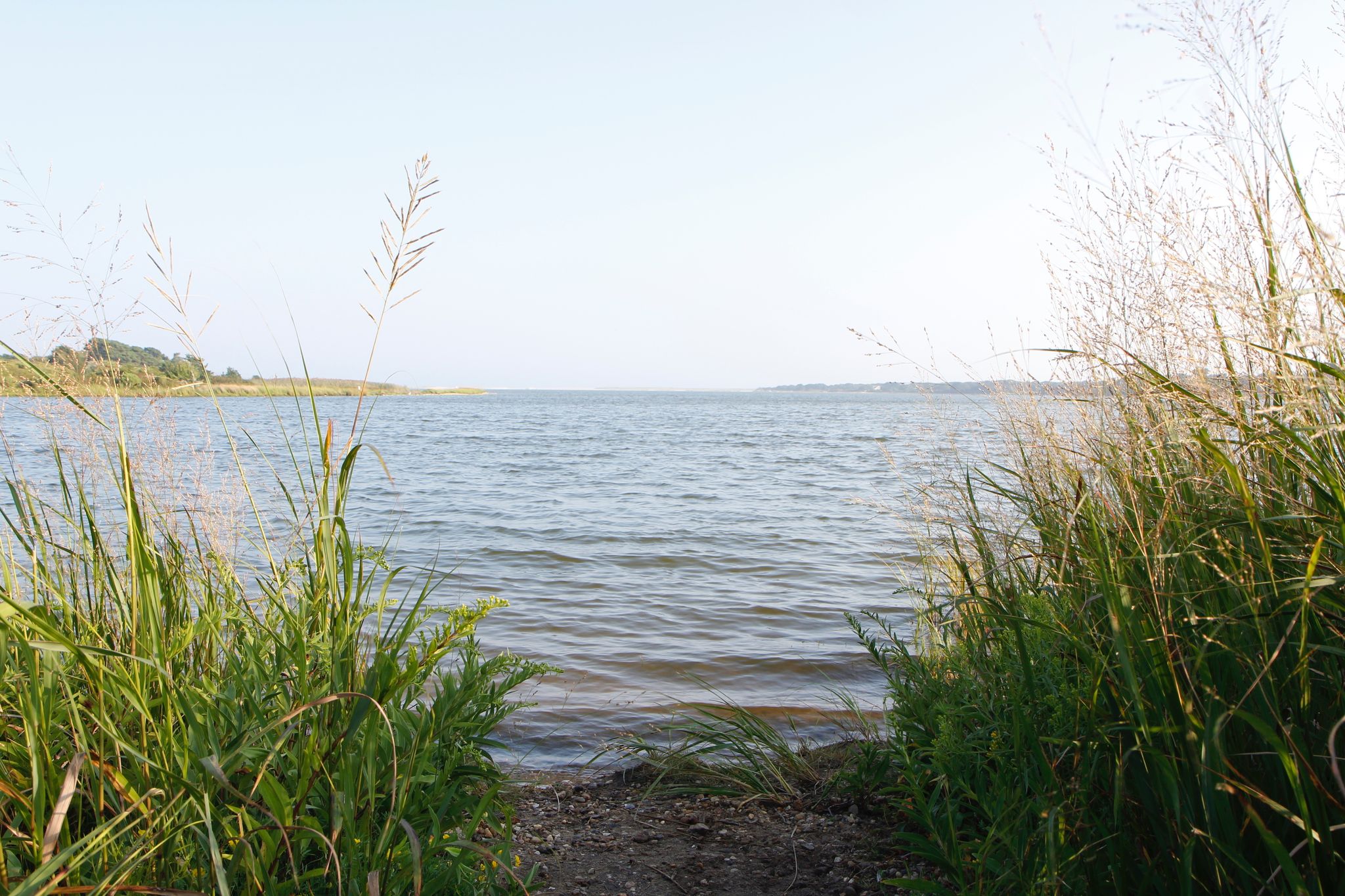 view of Tisbury Great Pond