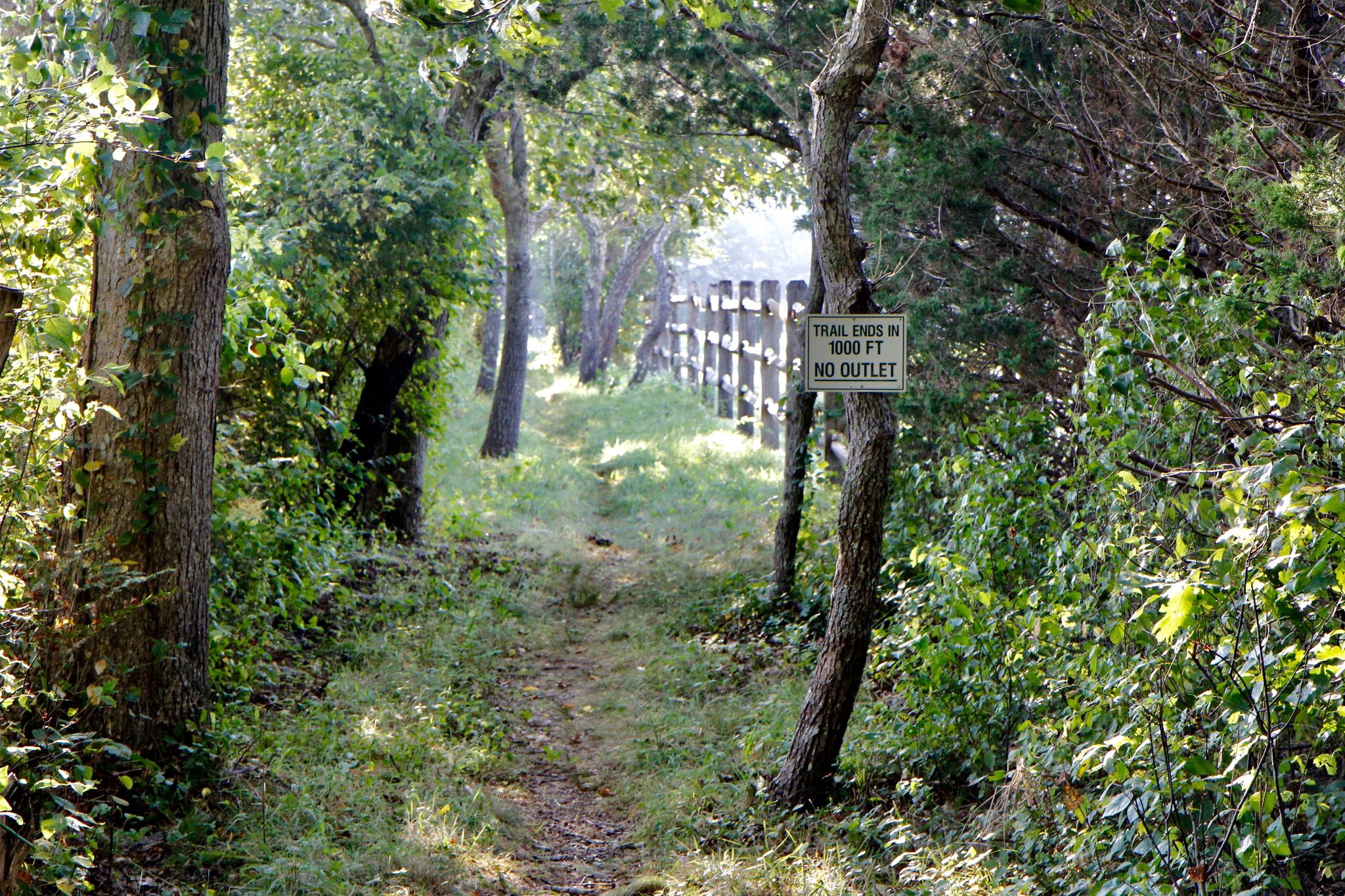 short bit of trail alongside horse farm