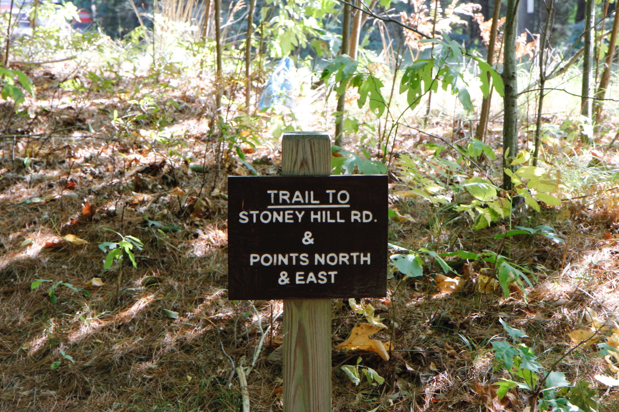 sign at start of #1 trail (at intersection with #2)