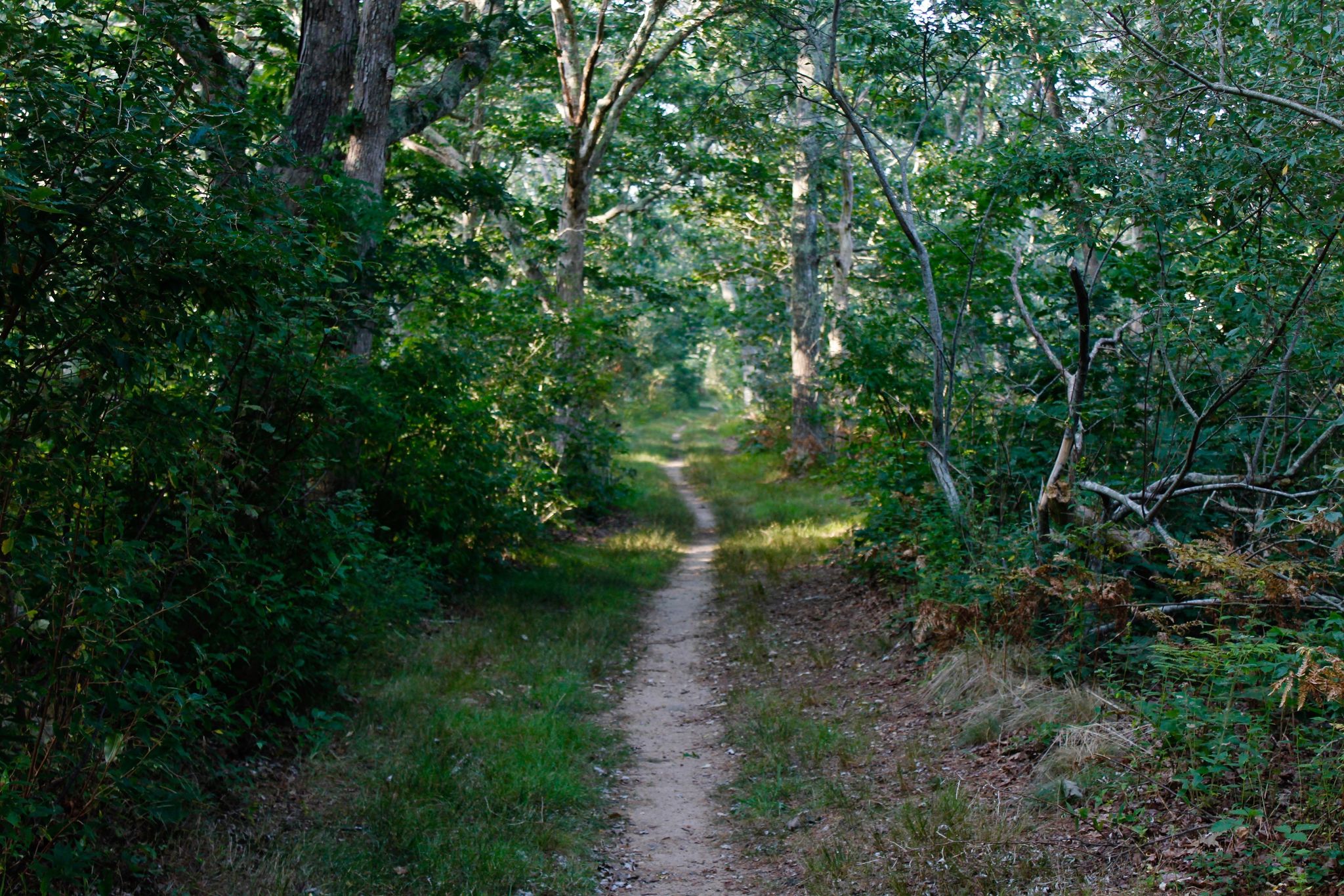 near Whippoorwill Farm