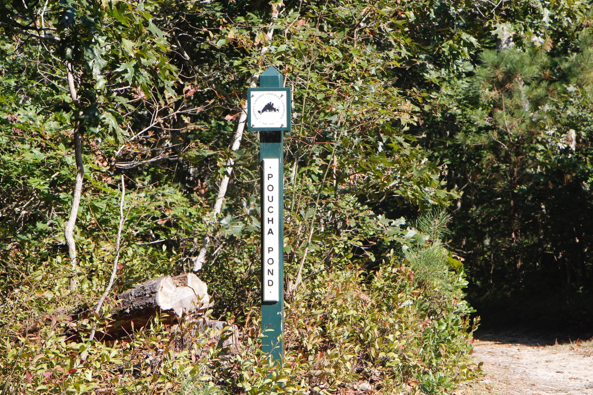 sign at Pocha Road