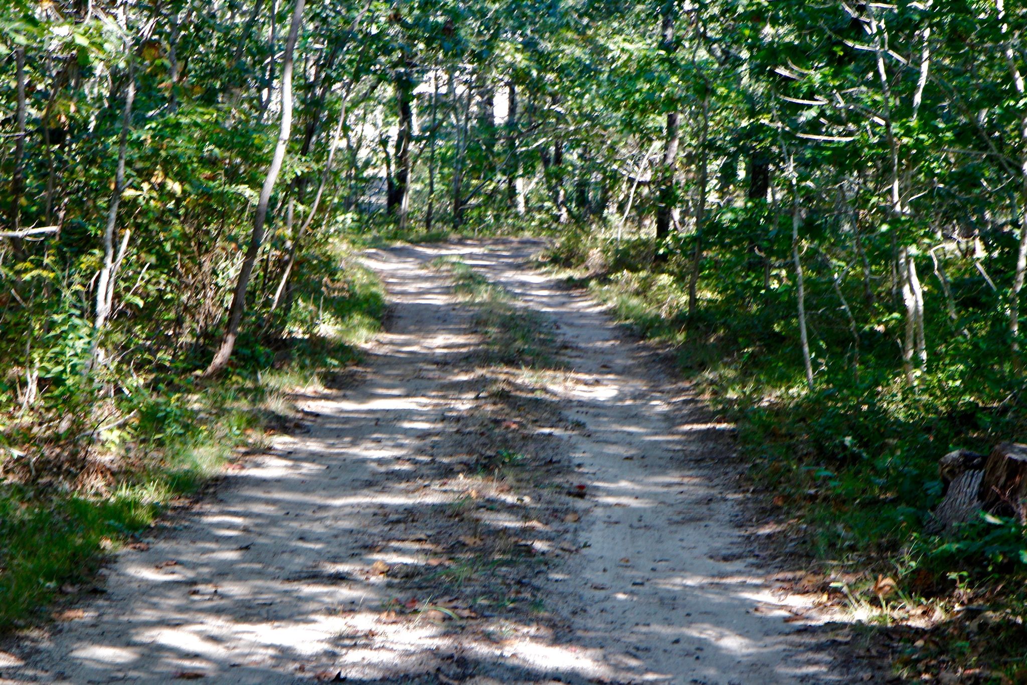 dirt road into property