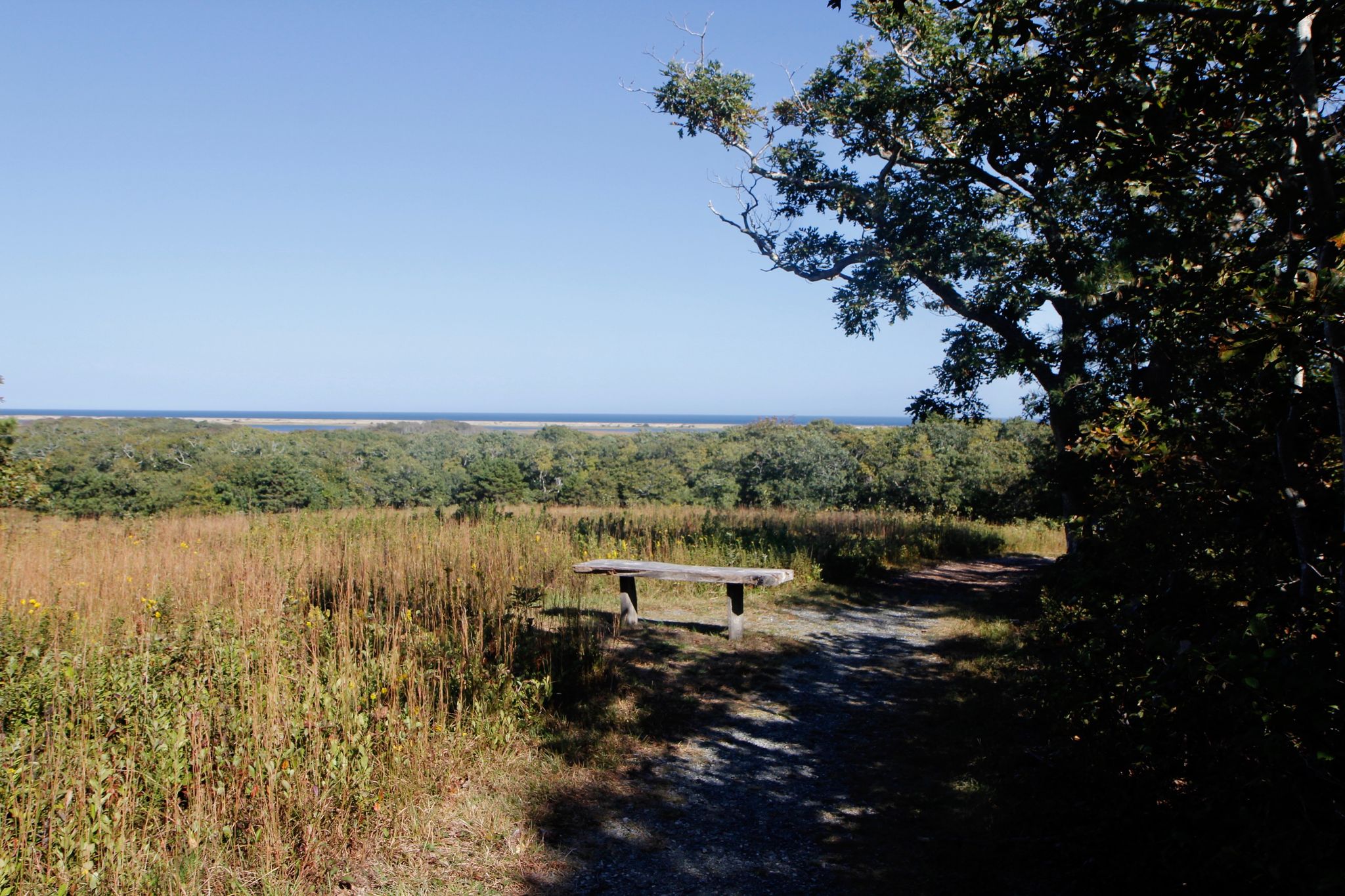 bench at top of hill