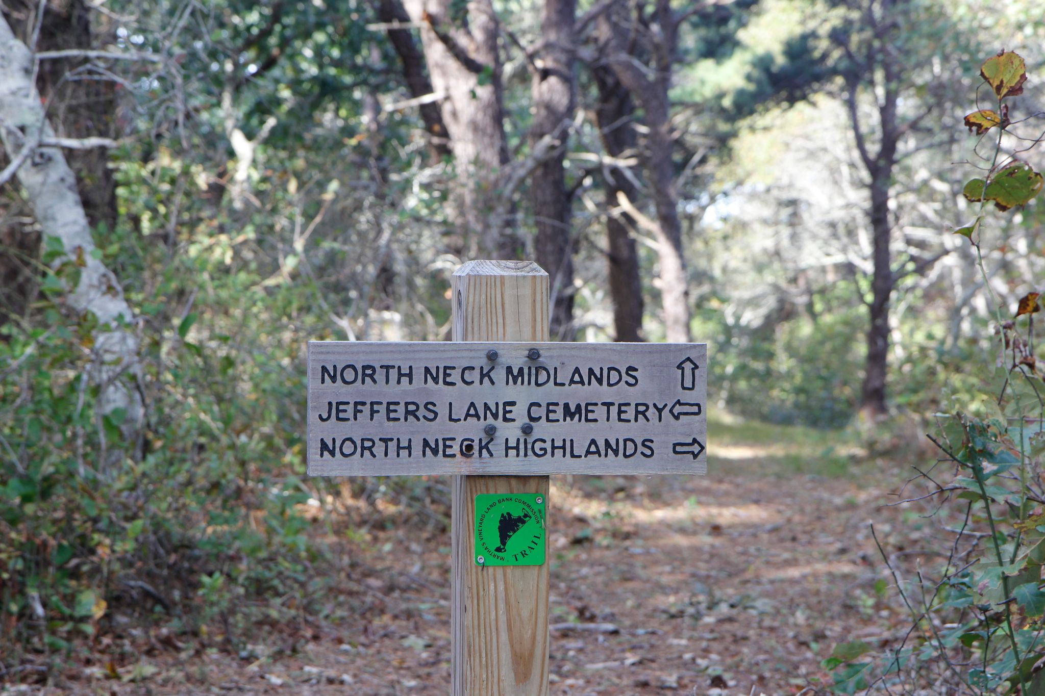 near intersection with Pond Loop