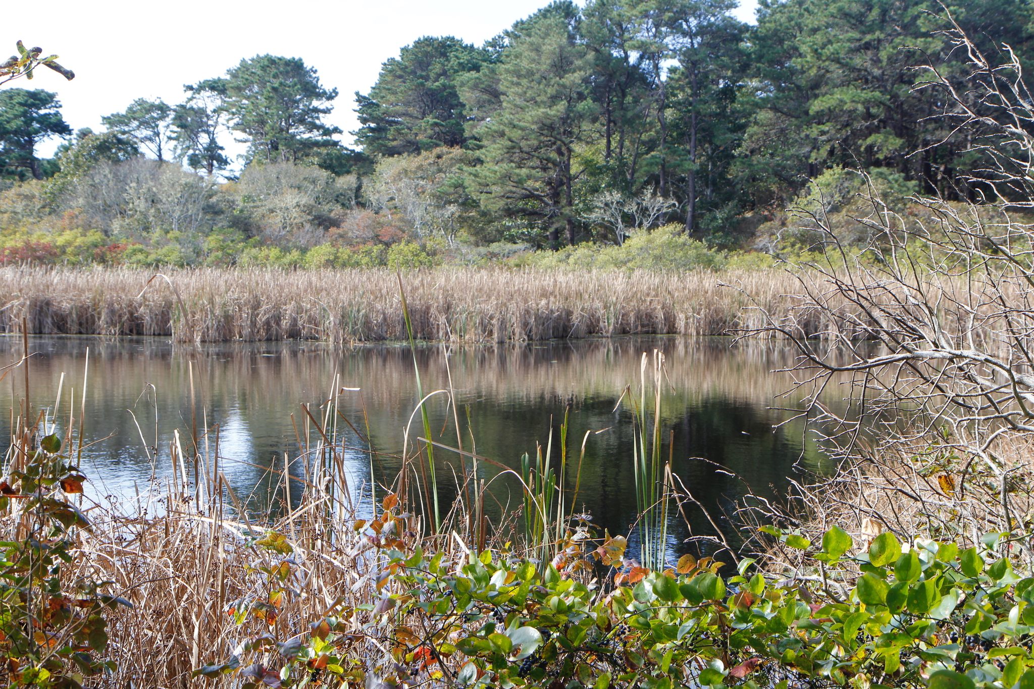 View at end of pond