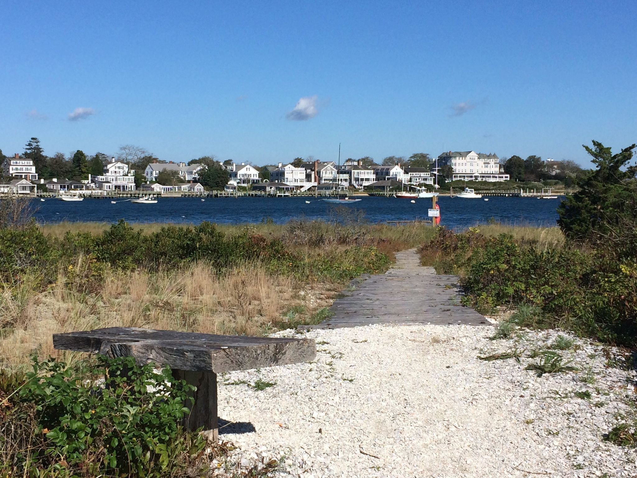 bench overlooking harbor