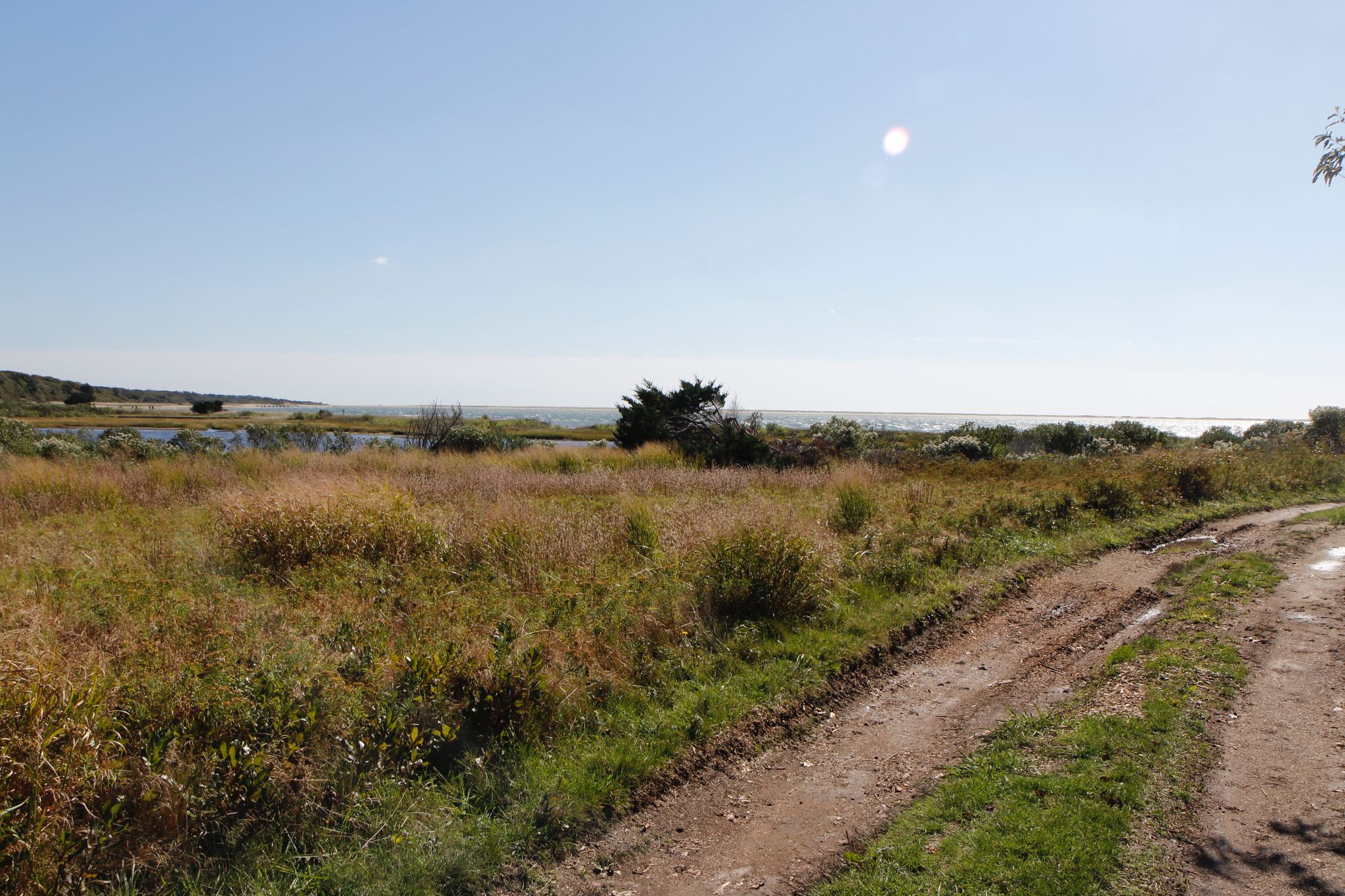 Quammox Road near beach, early fall