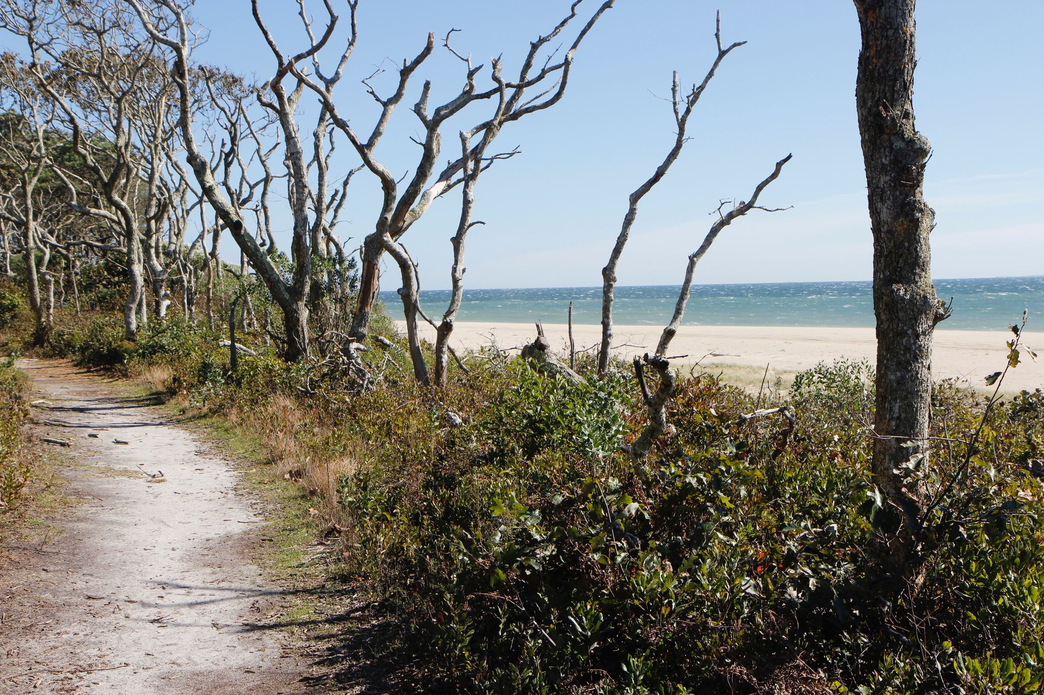 views of Atlantic Ocean