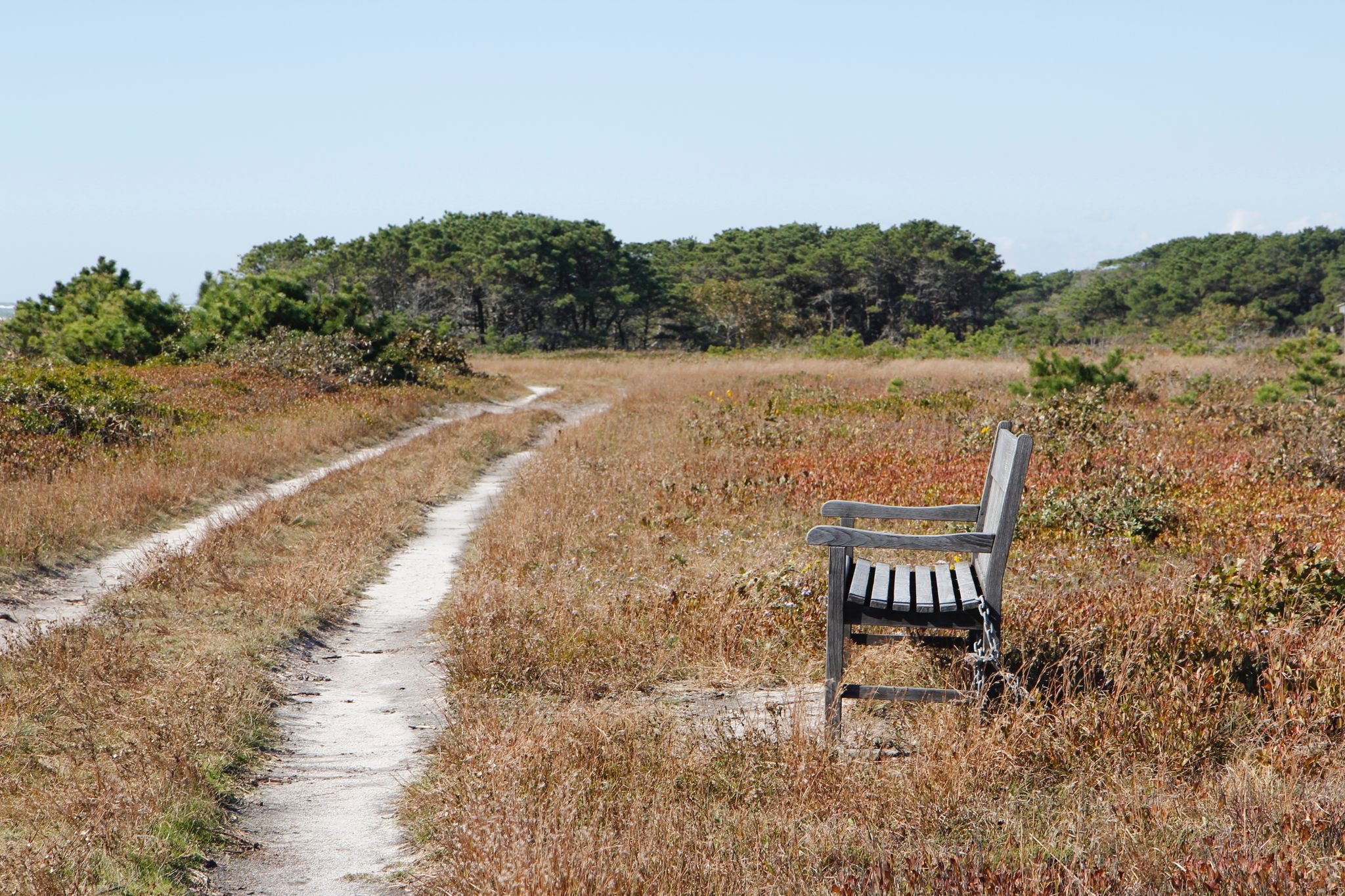 bench overlooking ocean