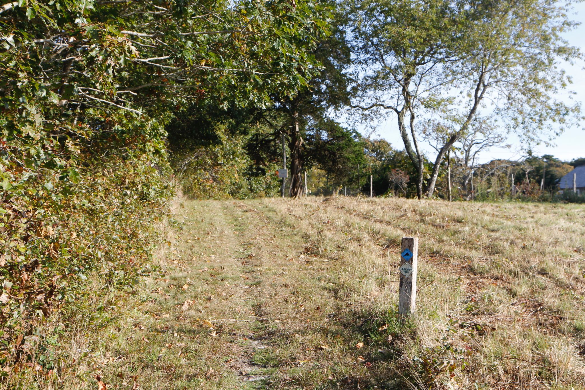 grassy trail alongside Slipaway Farm