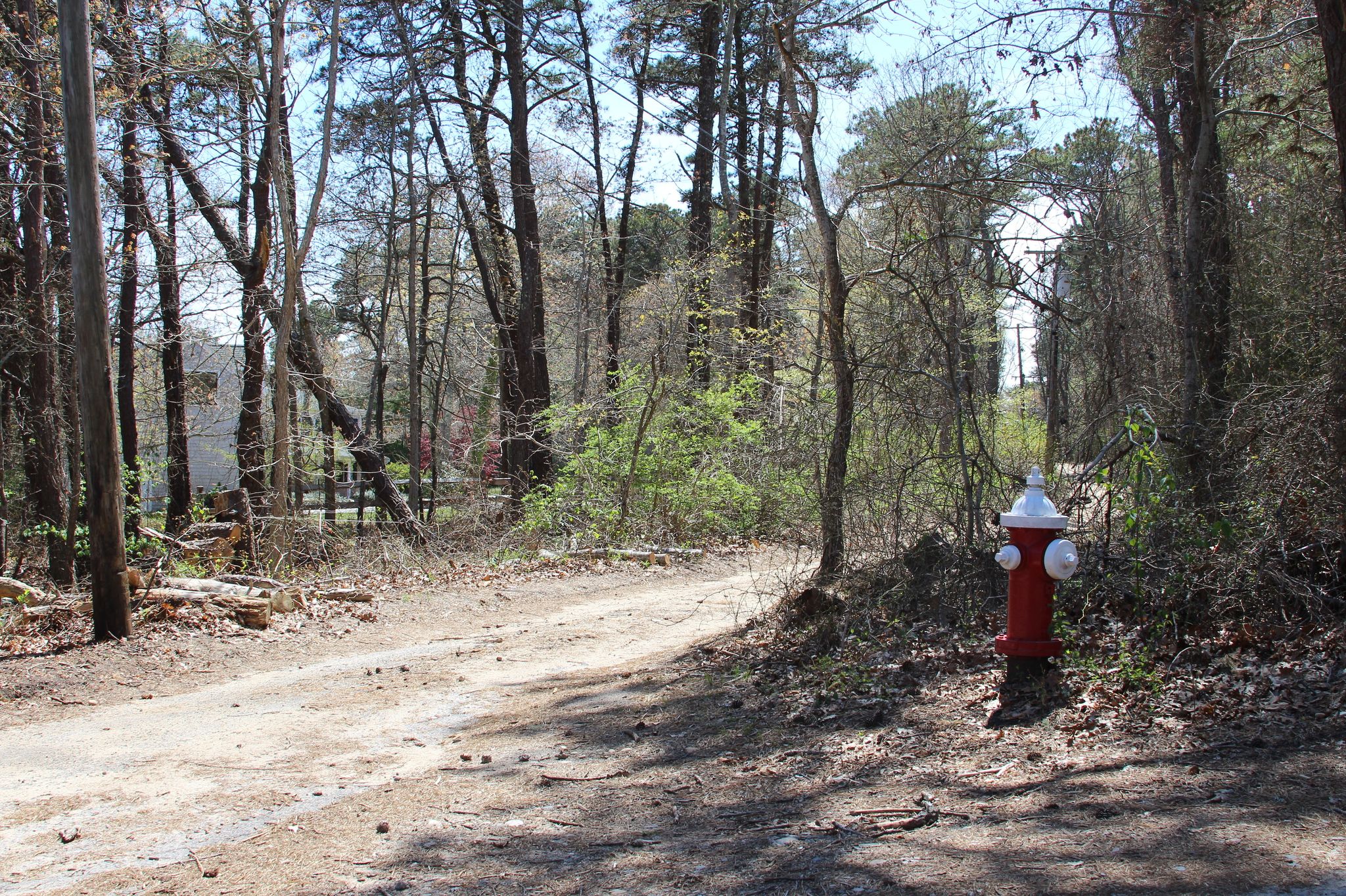 fire hydrant at intersection with Winyah Lane