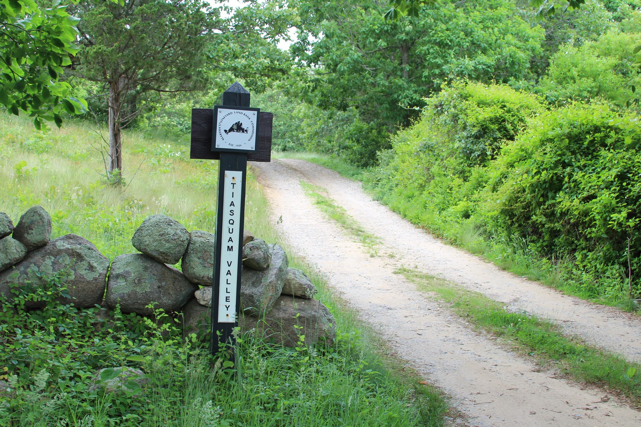 at intersection with Middle Road