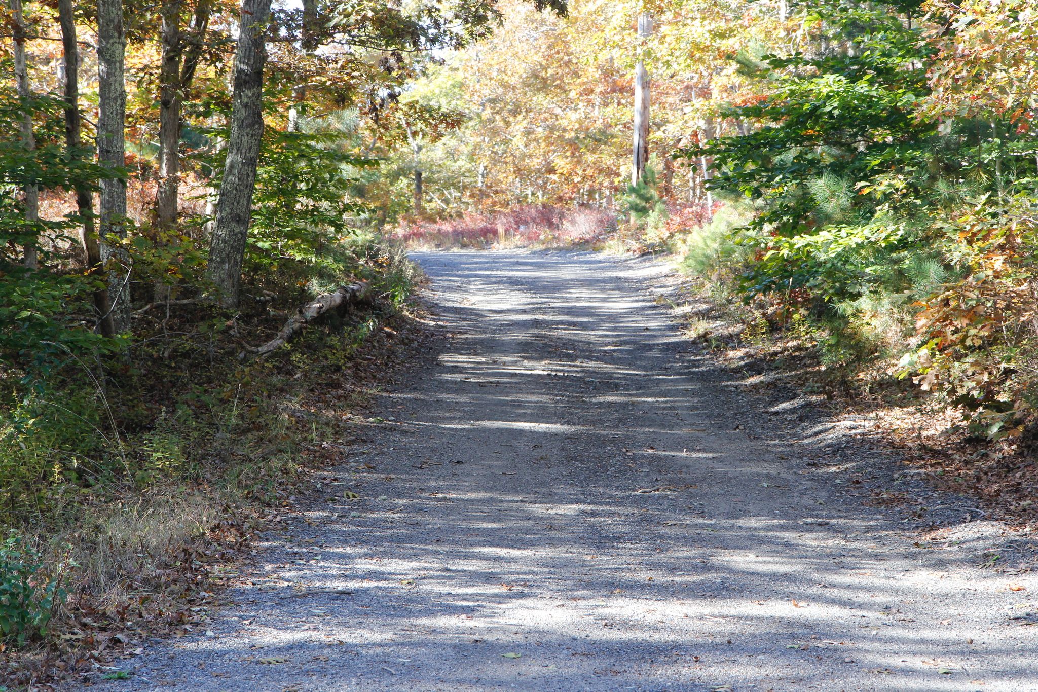 a short stretch of gravel road