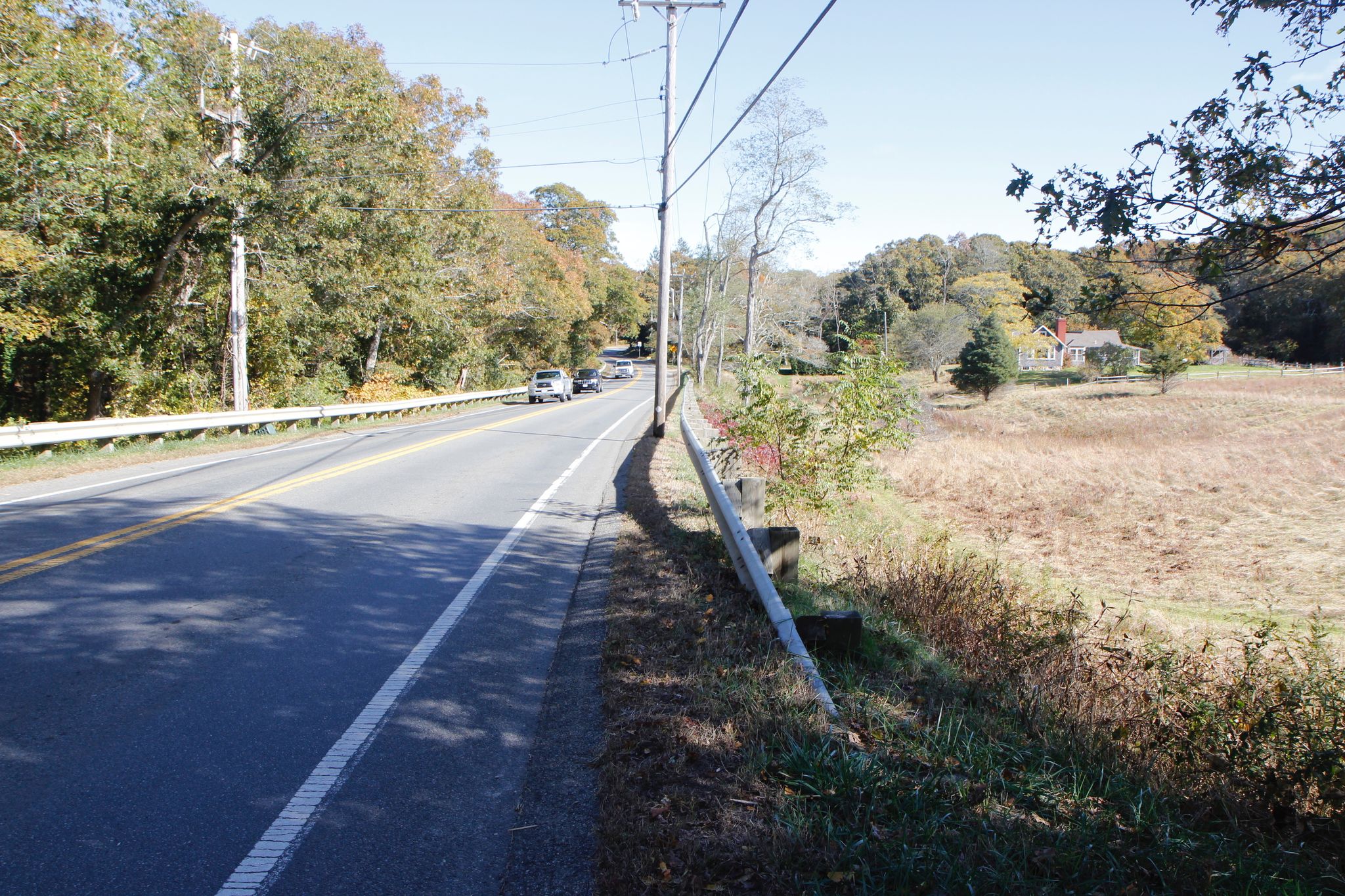 near intersection with Trail no 6