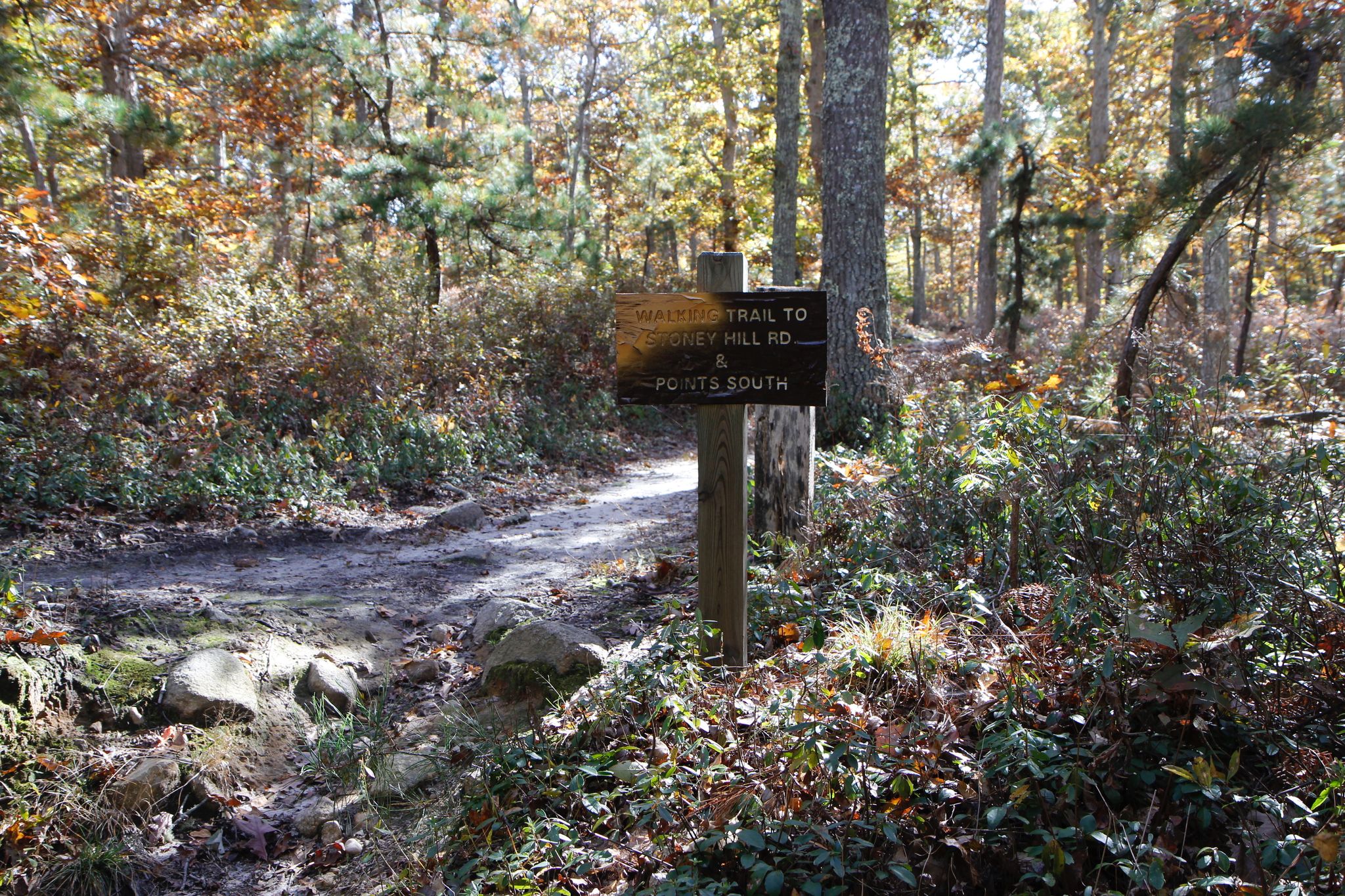 sign for trail at Old Holmes Hole Road/Path end