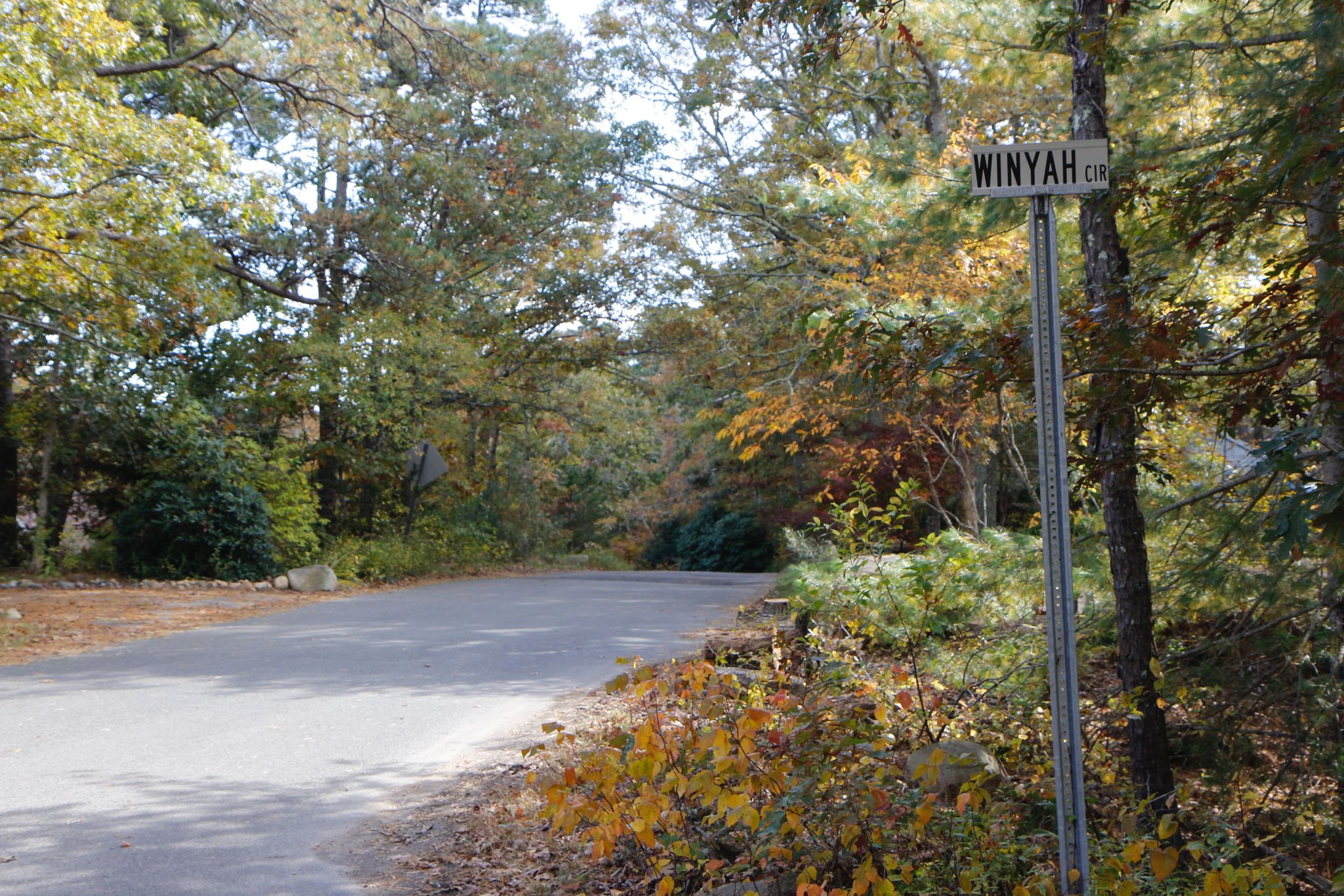 Winyah at Winyah Circle intersection