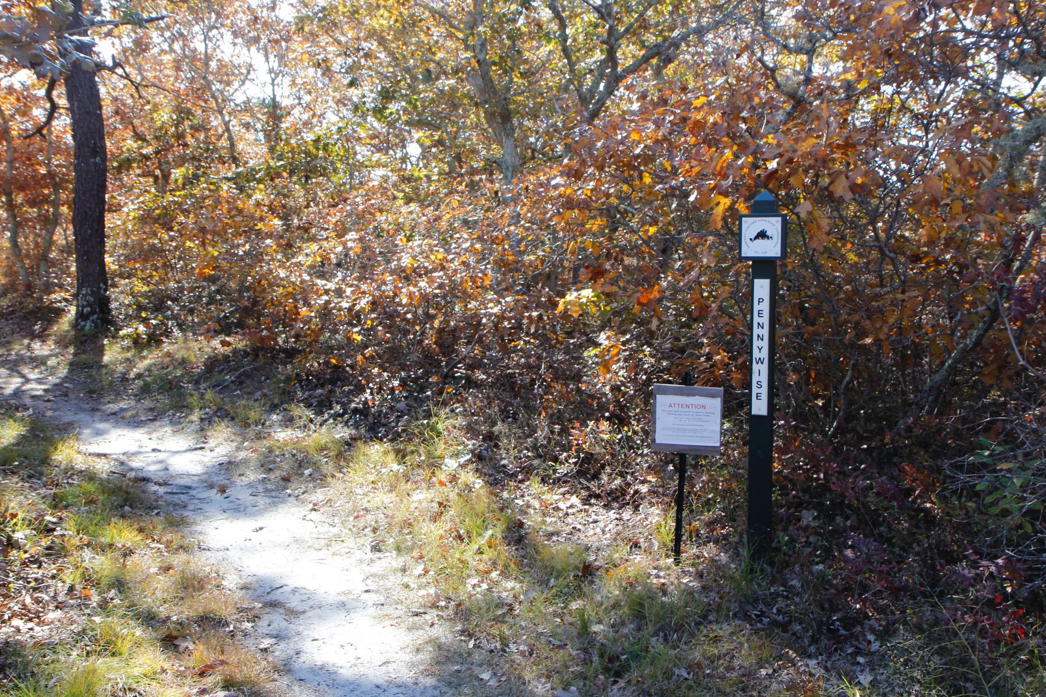 at northern end of trail