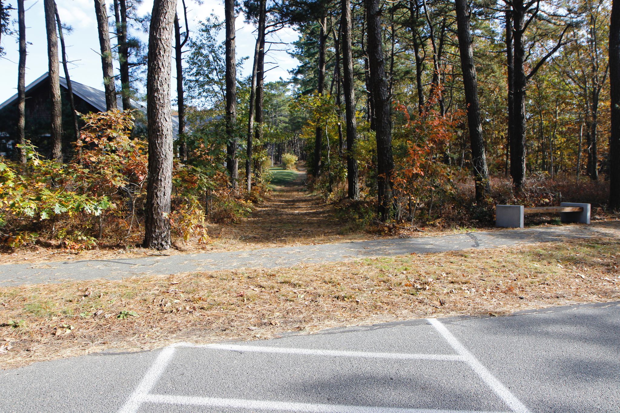 intersection with Old Holmes Hole Road/path