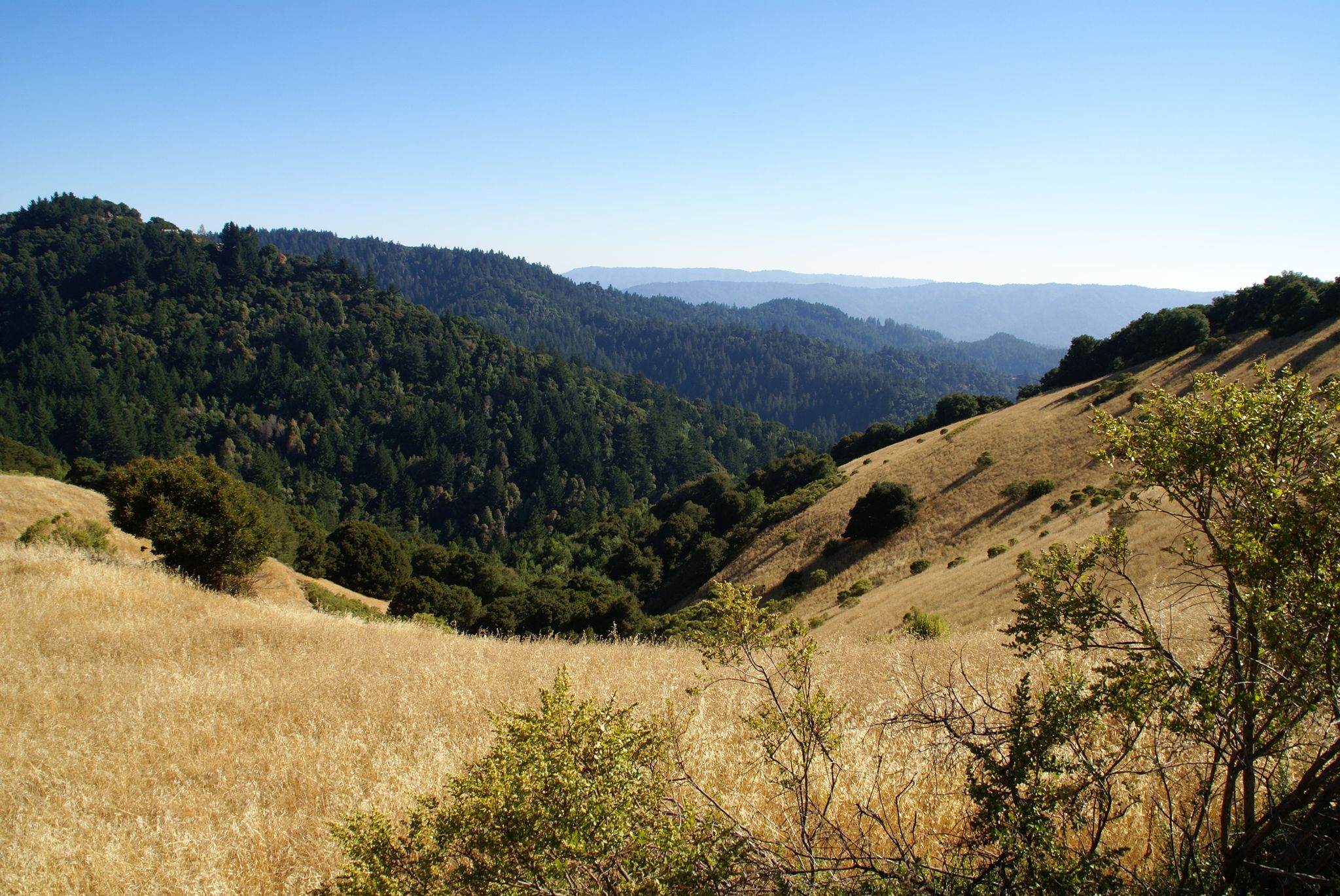 The view South from Ridge Trail in Skyline Ridge Open Space Preserv