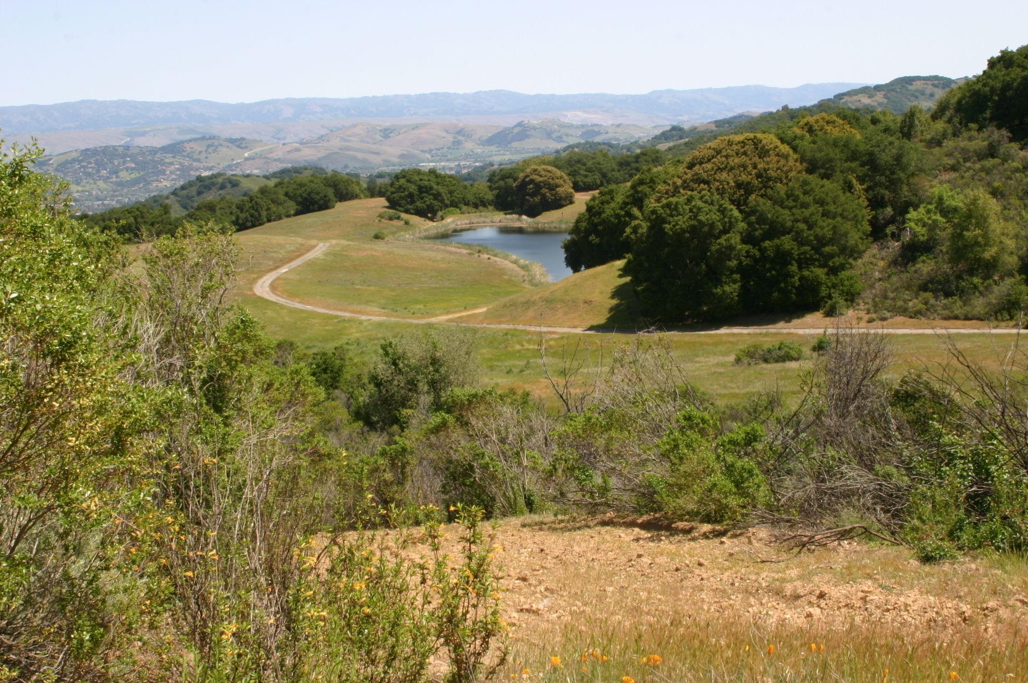 View within the Sierra Azul Open Space Preserve, overlooking Cherry Springs Lake.