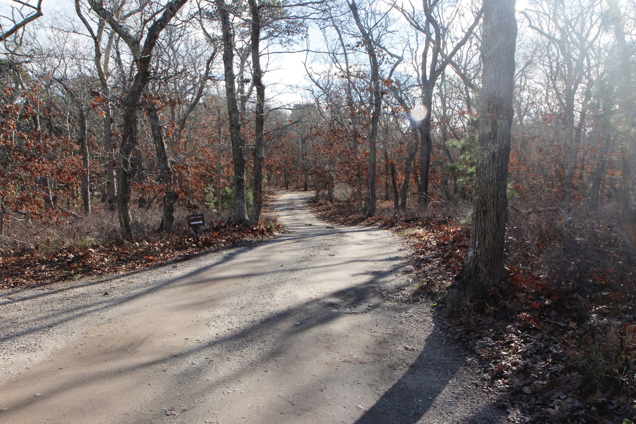 entrance side of access loop off County Road