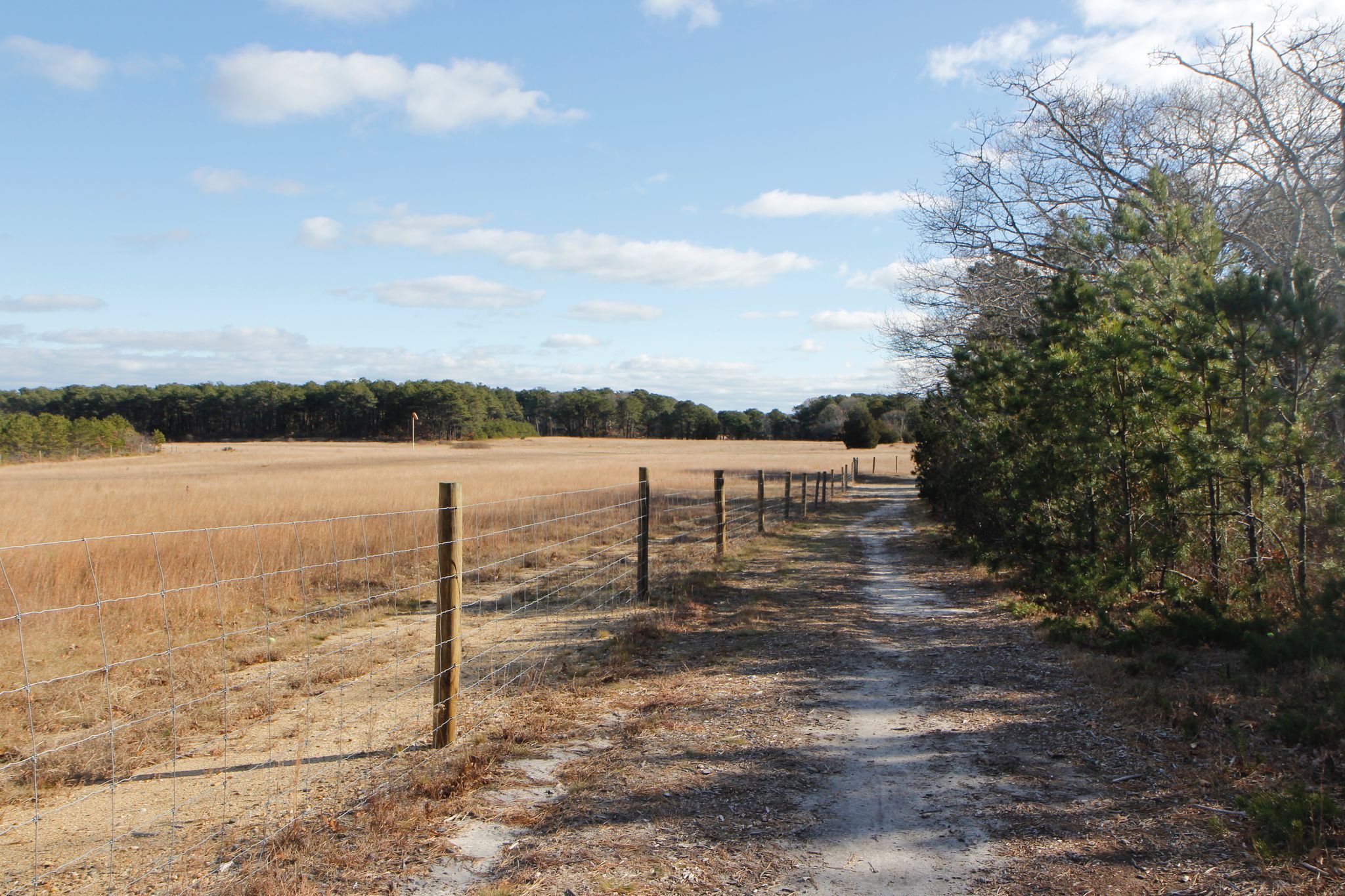 sandy path alongside airfield