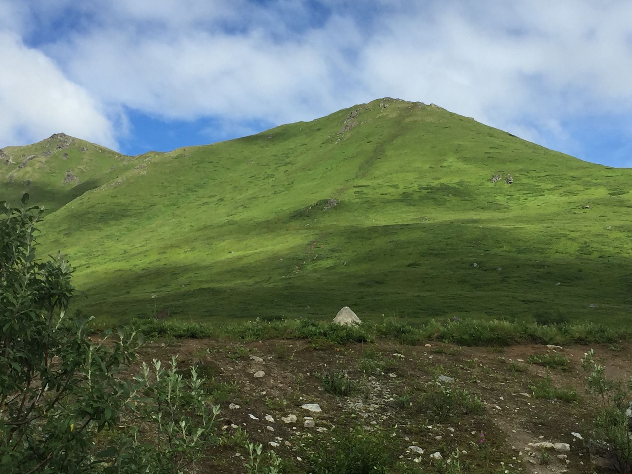 Marmot Mountain