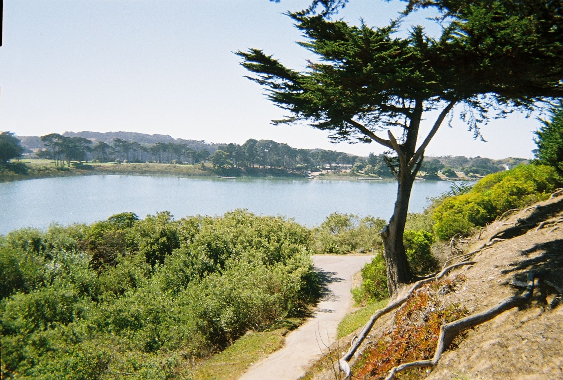 Lake Merced, San Francisco