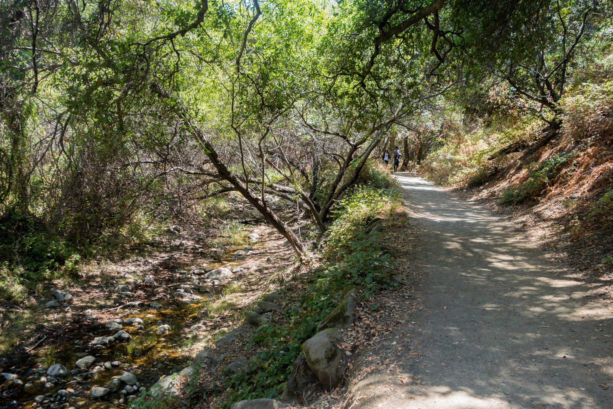 Penitencia Creek Trail