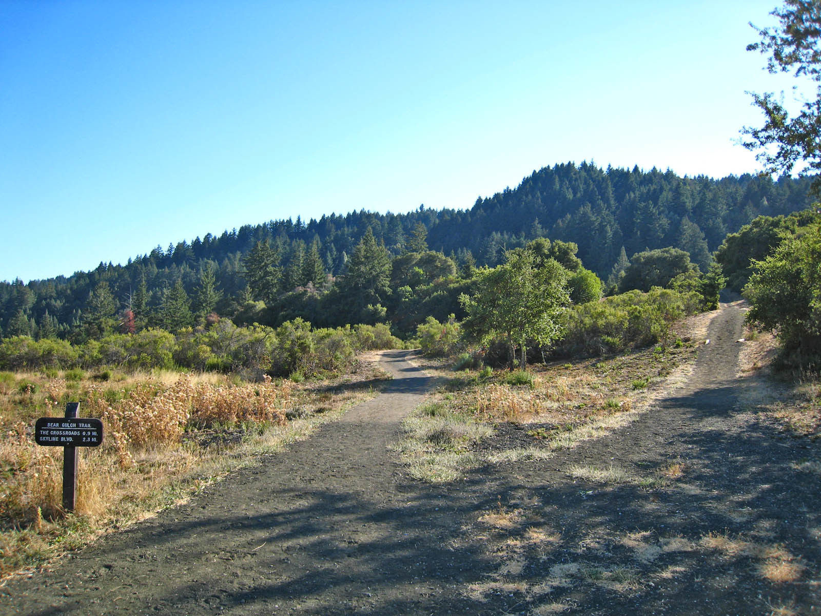 Wunderlich Park. Higher points in the park have great views down towards Silicon Valley and southern San Francisco Bay.