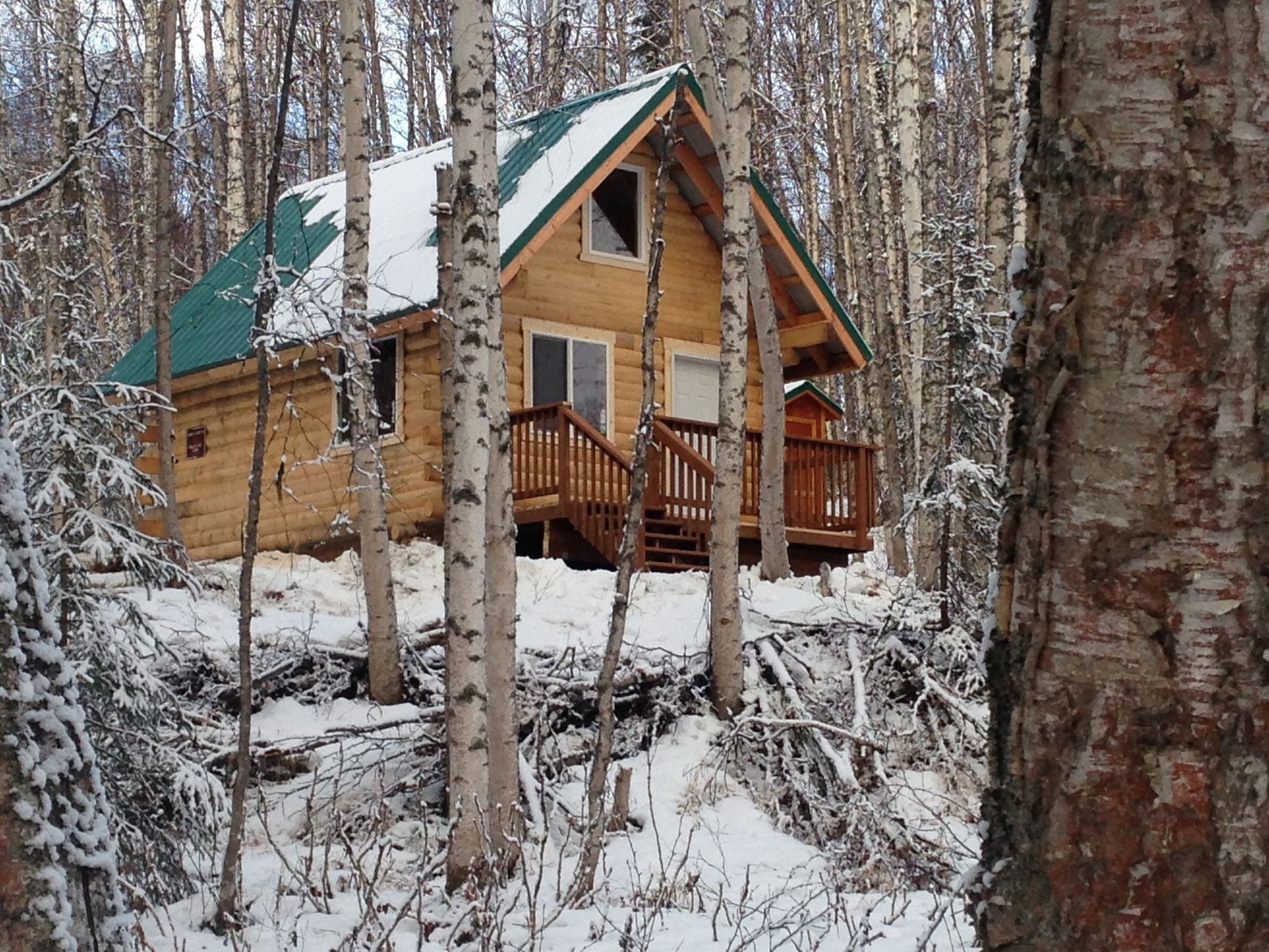 Nancy Lake Cabin #2