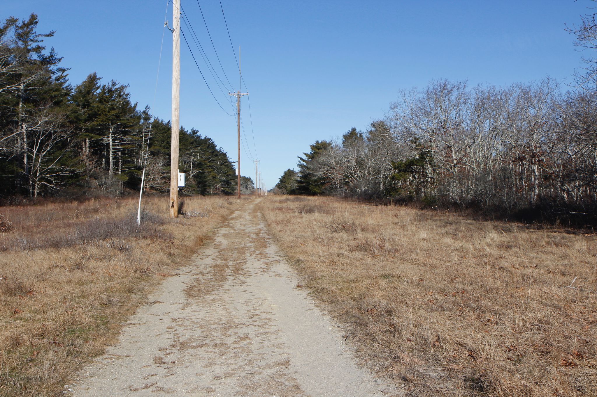 unpaved fire trail-12