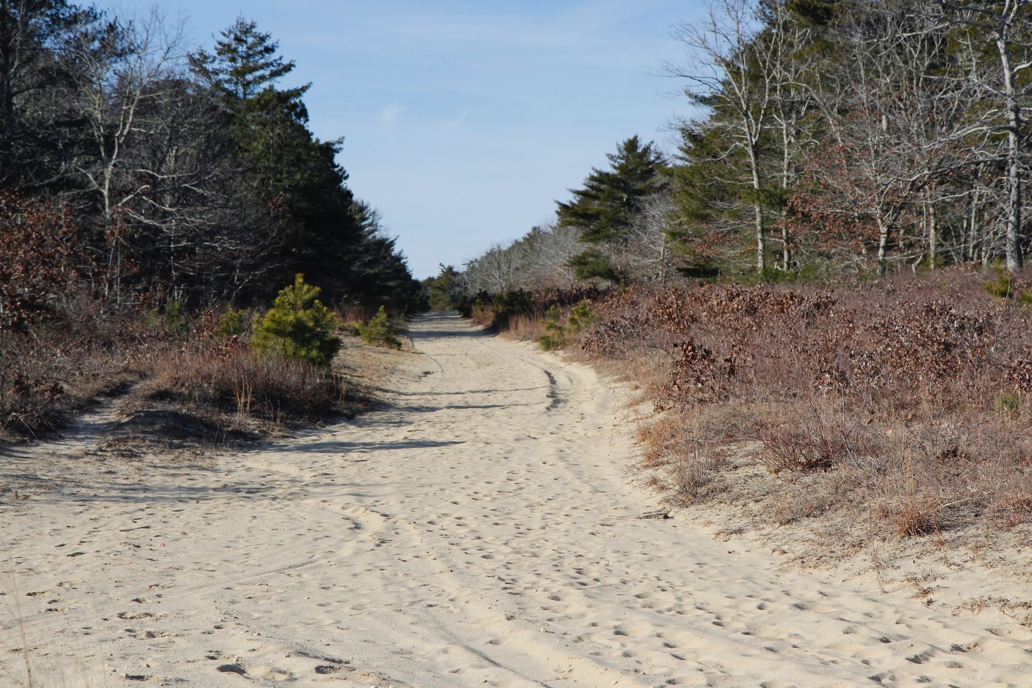 Sandy, unpaved fire trail.  At intersection with Fire Trail 12