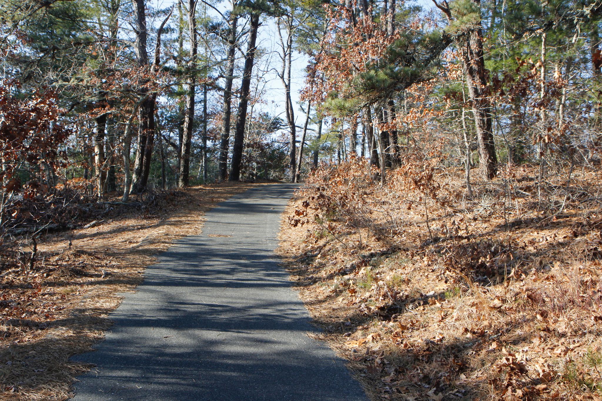 paved bike path- short, steep hill 