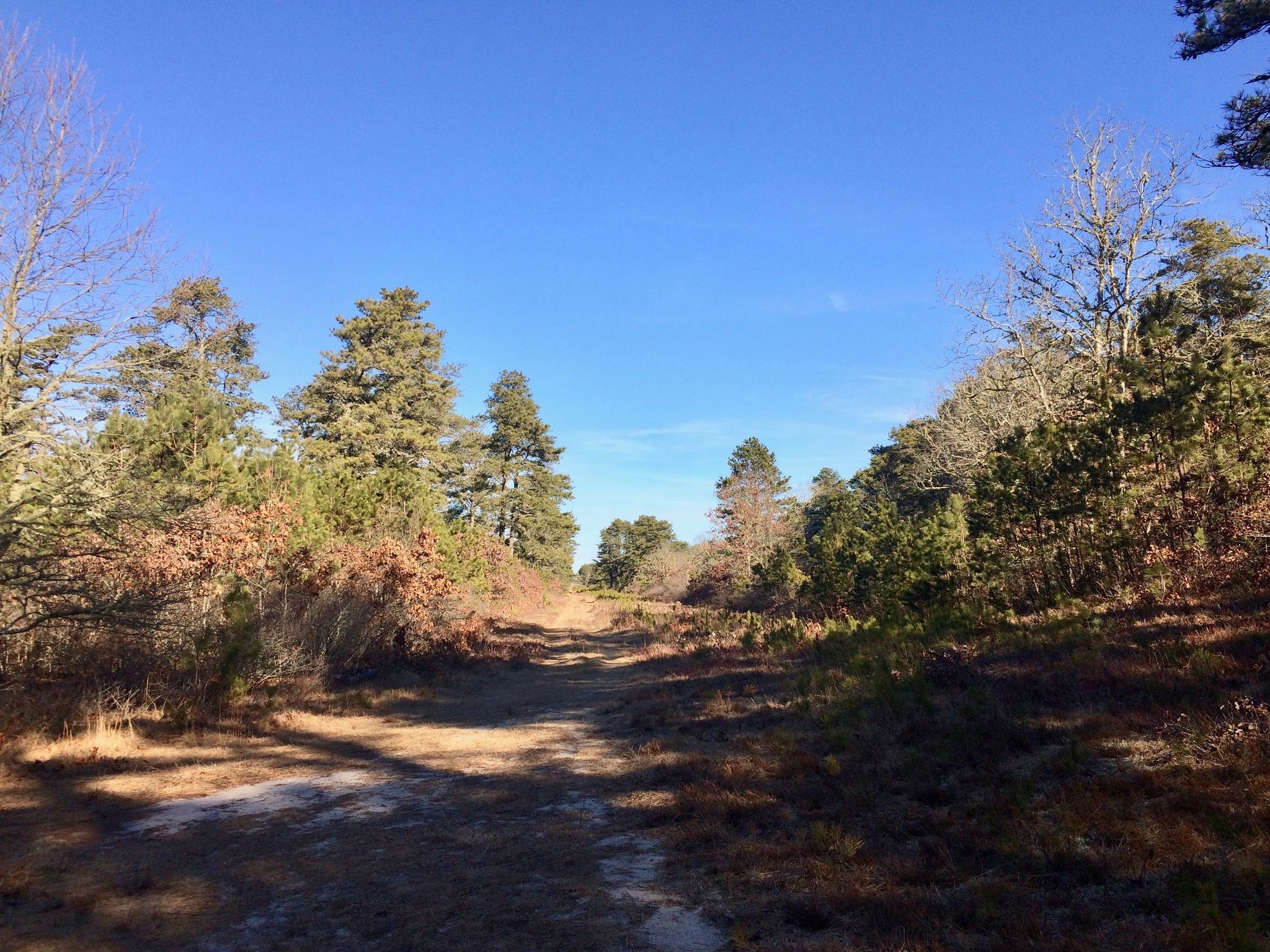 unpaved fire trail-3