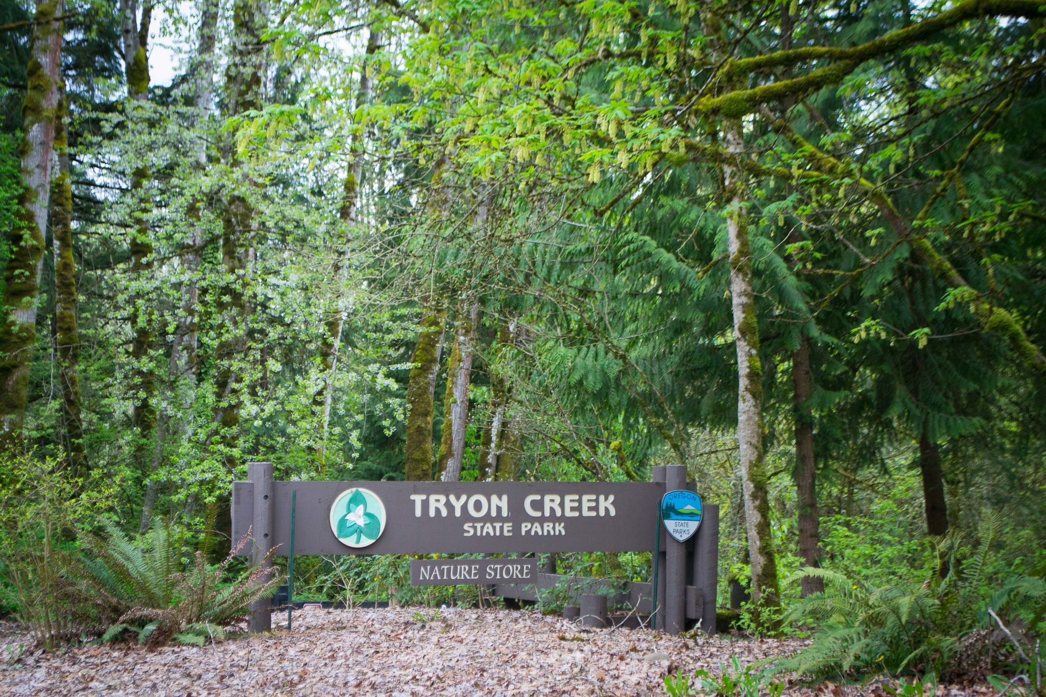 Tryon_Creek_State_Park.jpg