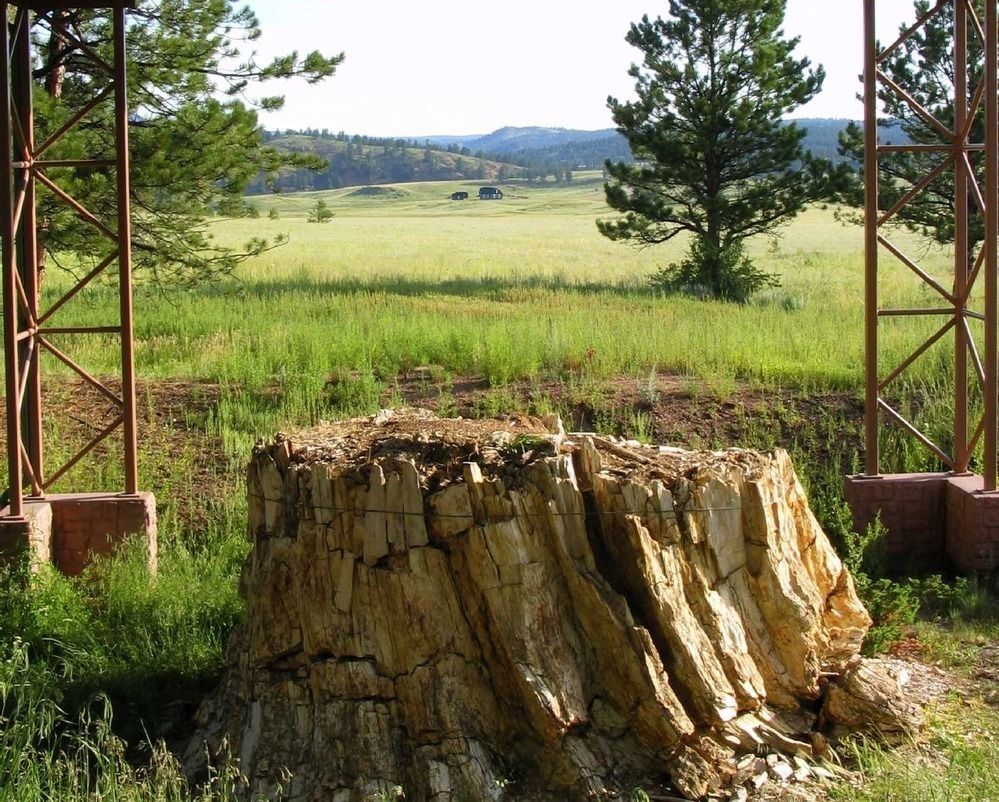 View of Florissant valley through a shelter that covers a petrified redwood.