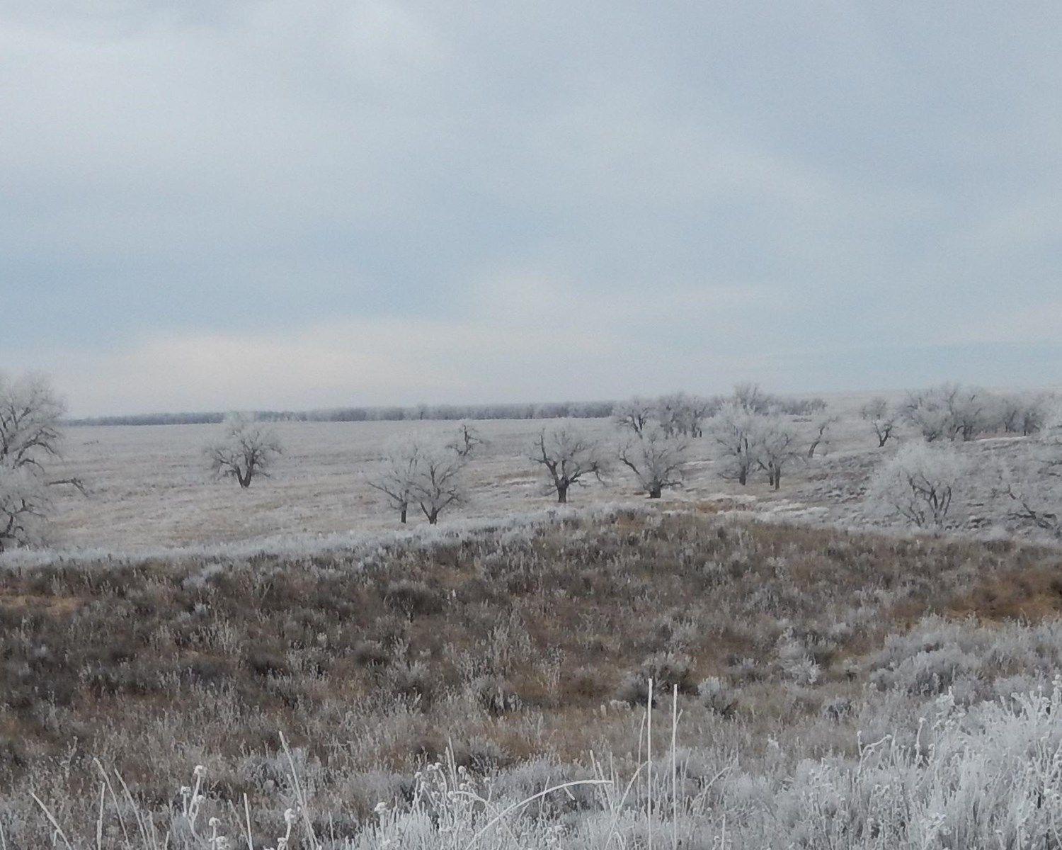 A light snow blankets the Sand Creek Valley.