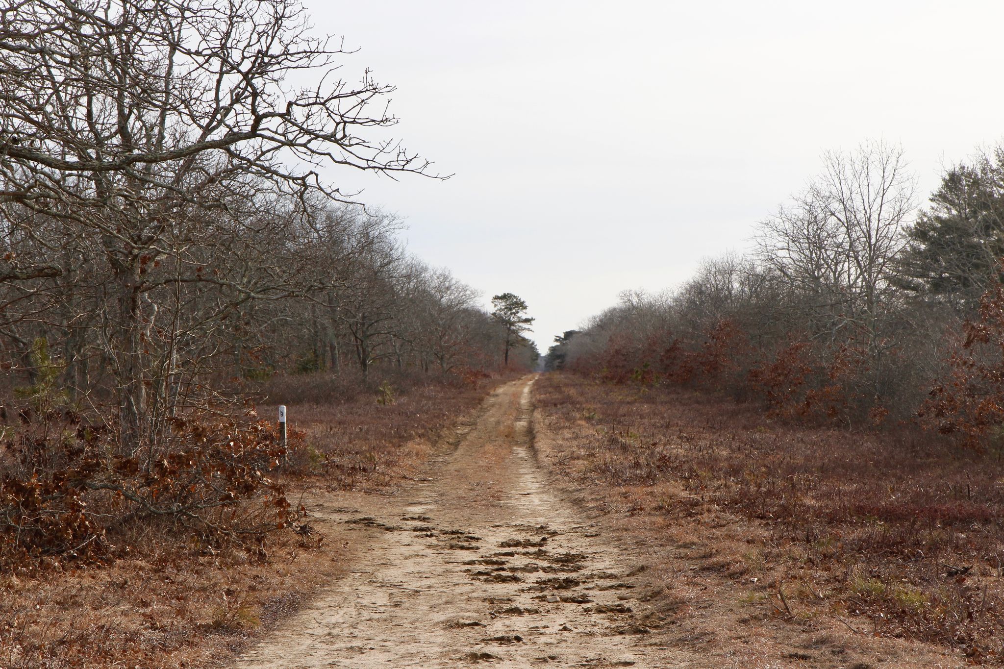 Northern end- by intersection with Earl's Folly