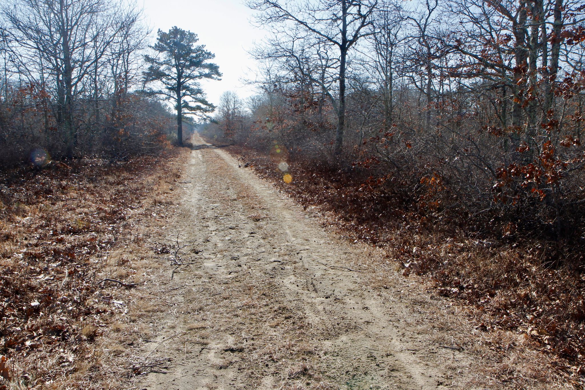 unpaved fire trail, sandy in parts